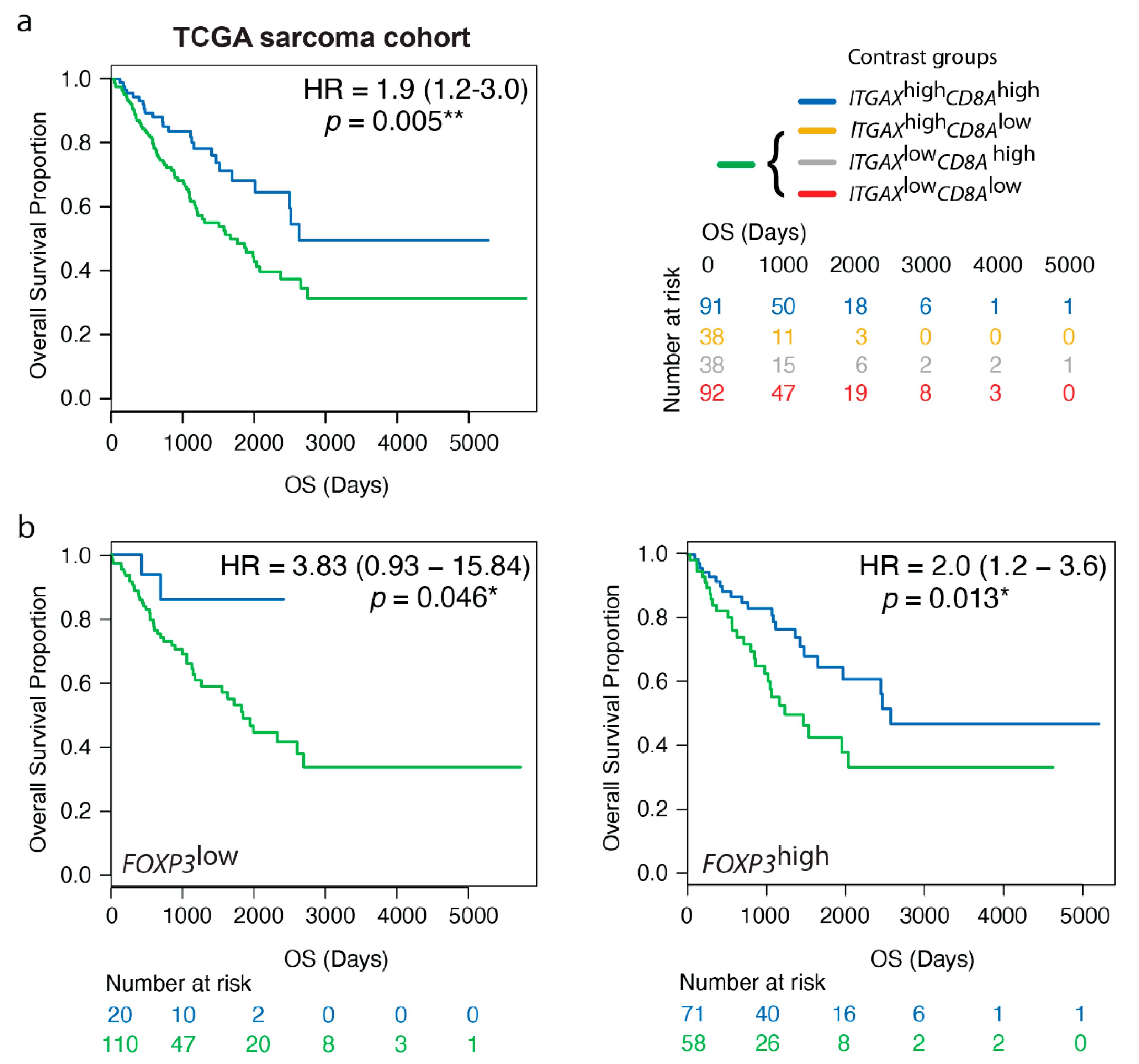 Cancers 13 01175 g004 Cancers 13 01175 g004