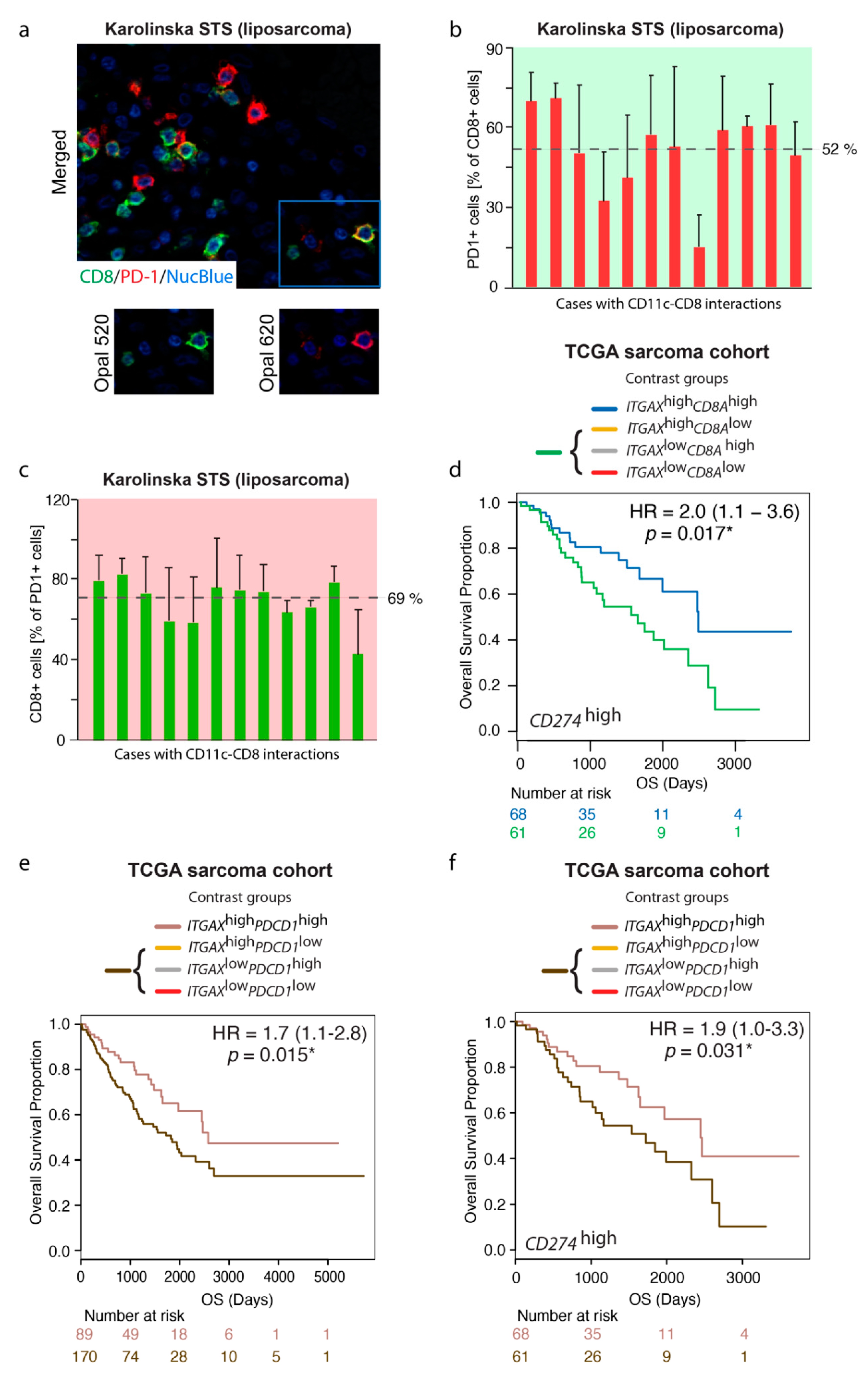 Cancers 13 01175 g005 Cancers 13 01175 g005