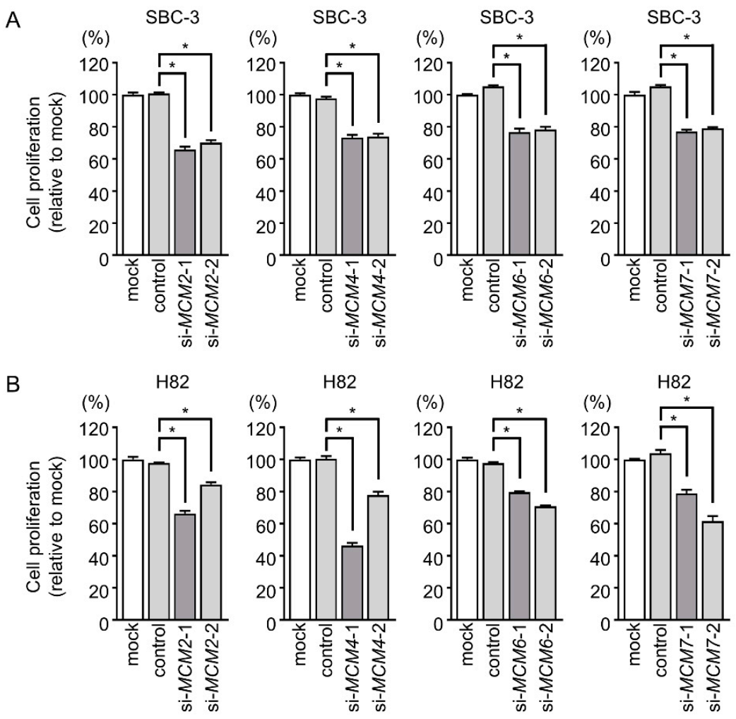 Cancers 13 01187 g004 Cancers 13 01187 g004