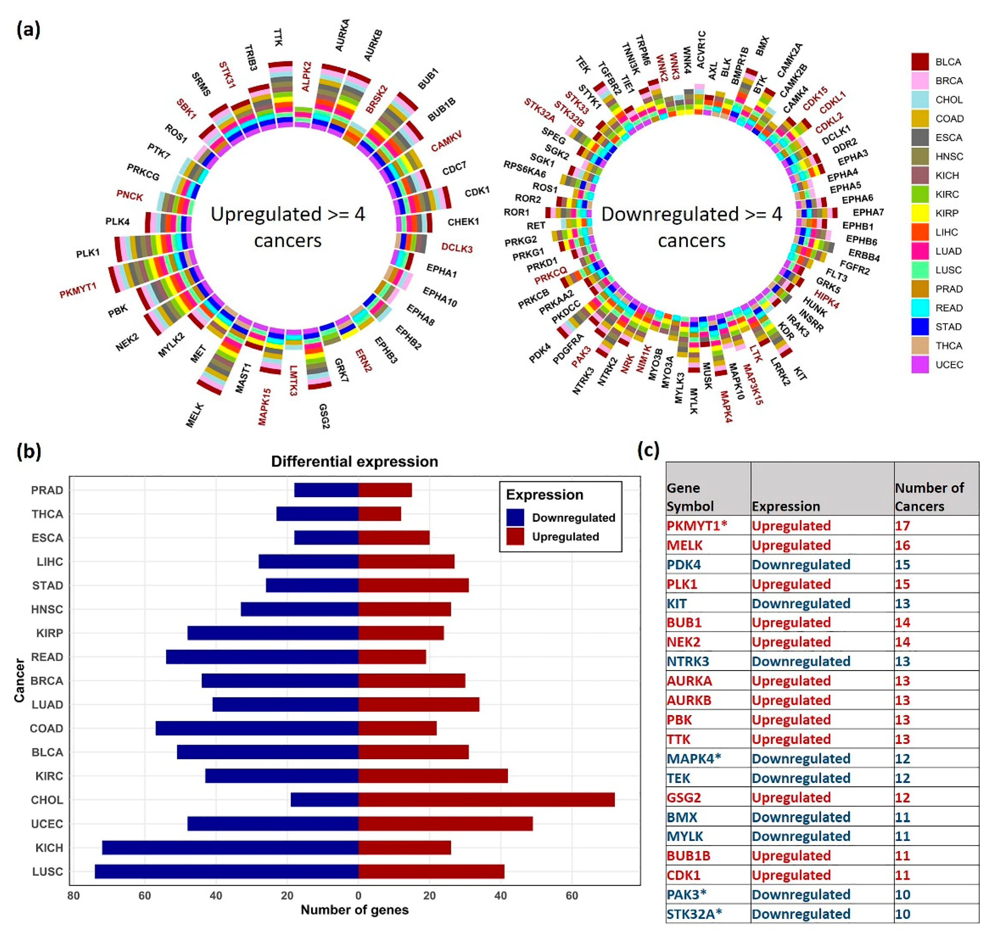 Cancers 13 01189 g002 Cancers 13 01189 g002
