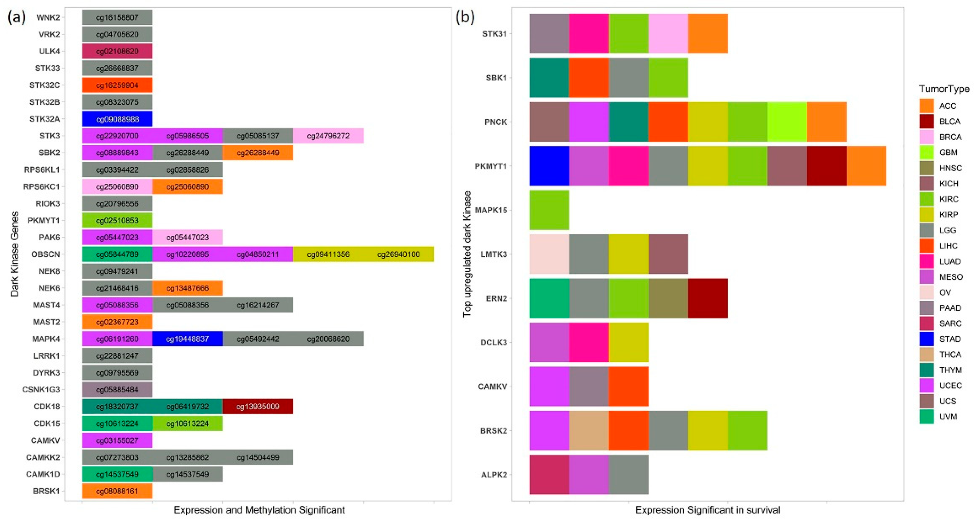 Cancers 13 01189 g005 Cancers 13 01189 g005