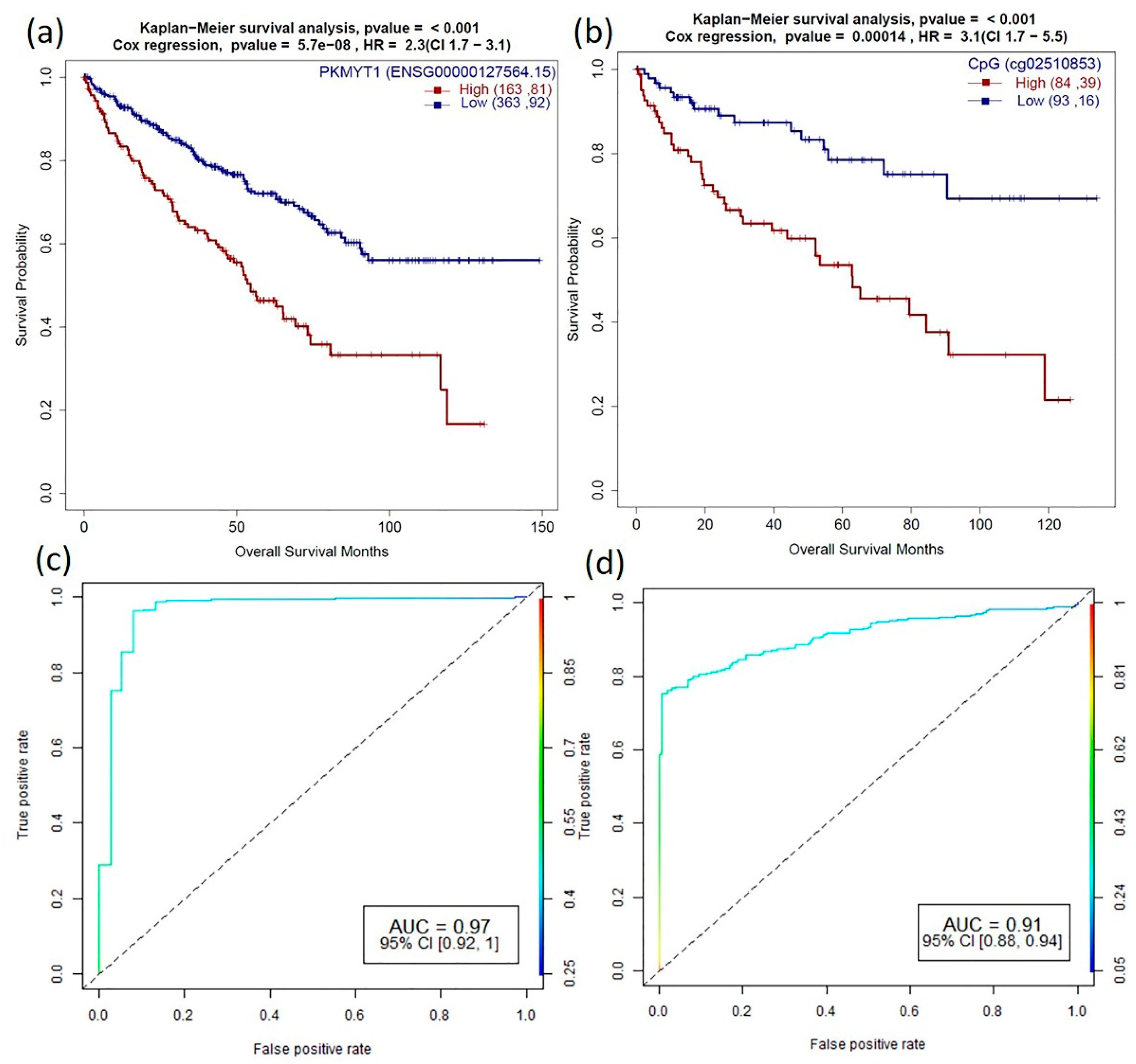 Cancers 13 01189 g006 Cancers 13 01189 g006