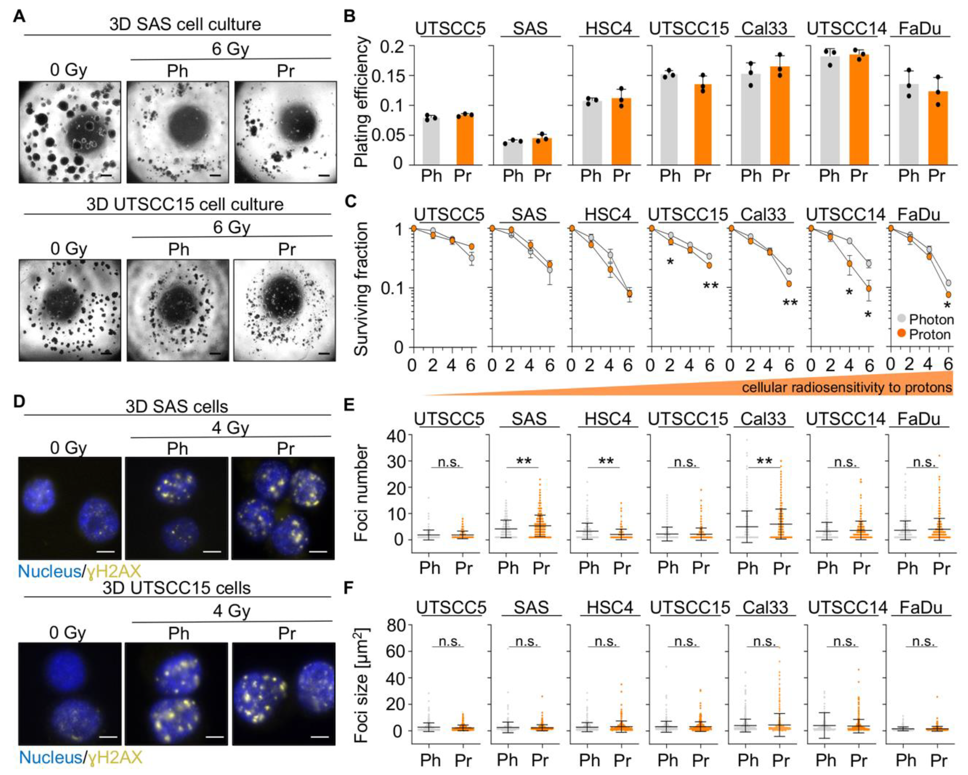 Cancers 13 01190 g001 Cancers 13 01190 g001