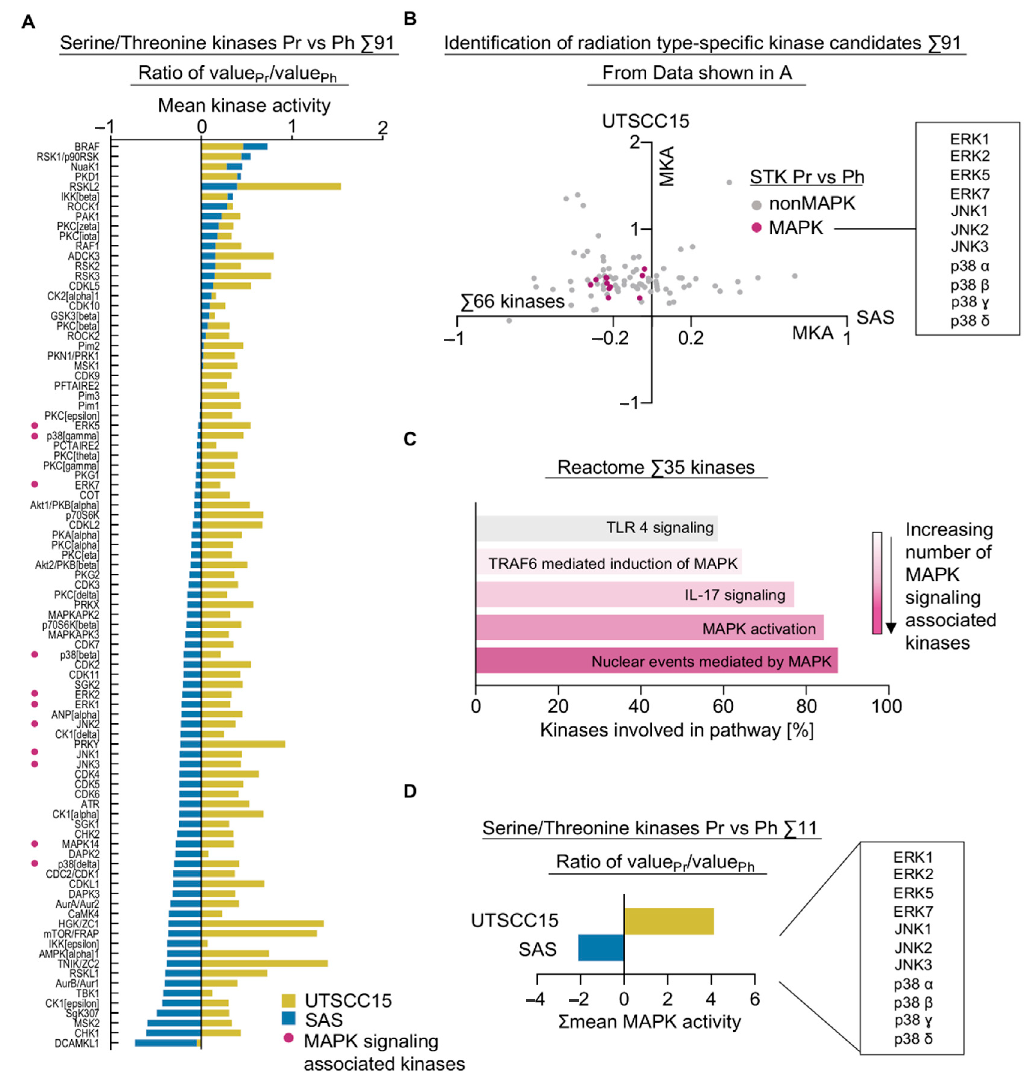 Cancers 13 01190 g003 Cancers 13 01190 g003