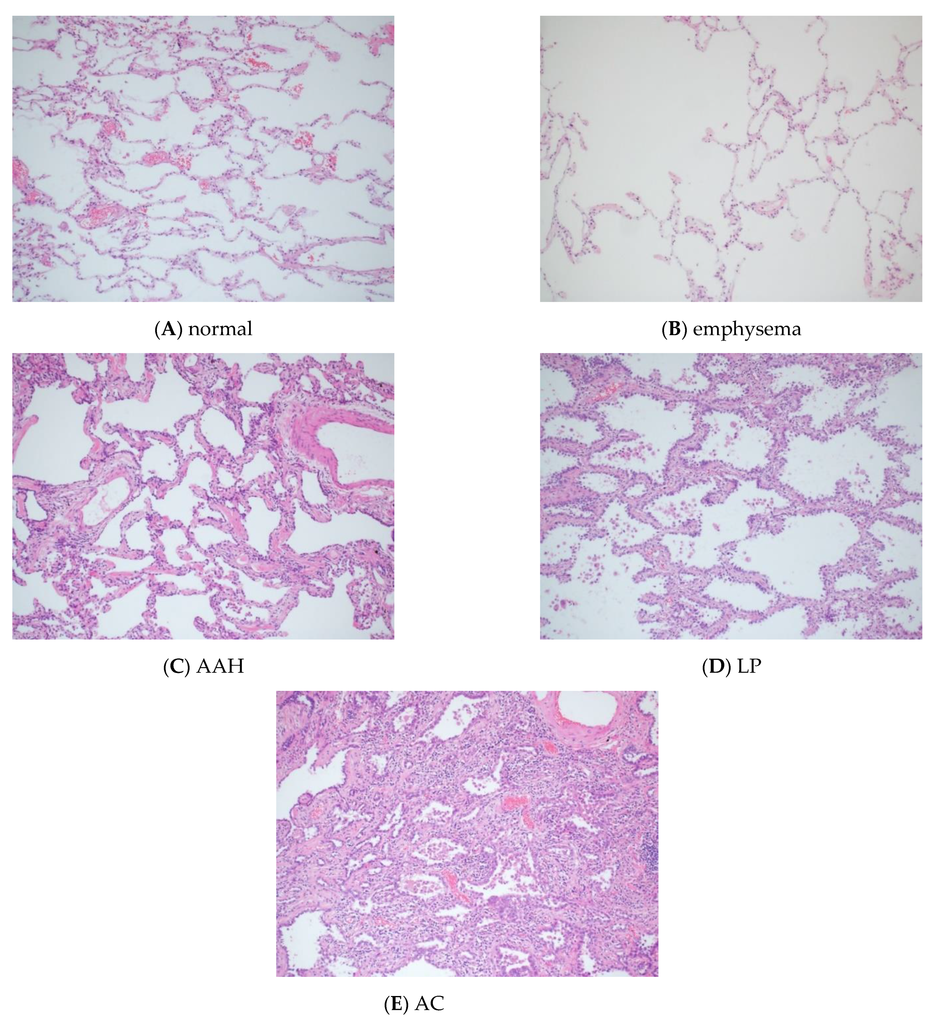 Cancers 13 01192 g001