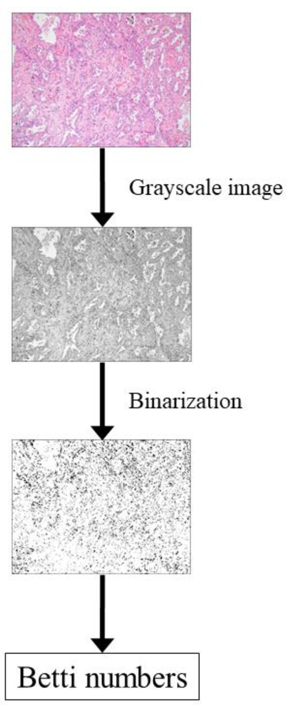 Cancers 13 01192 g004