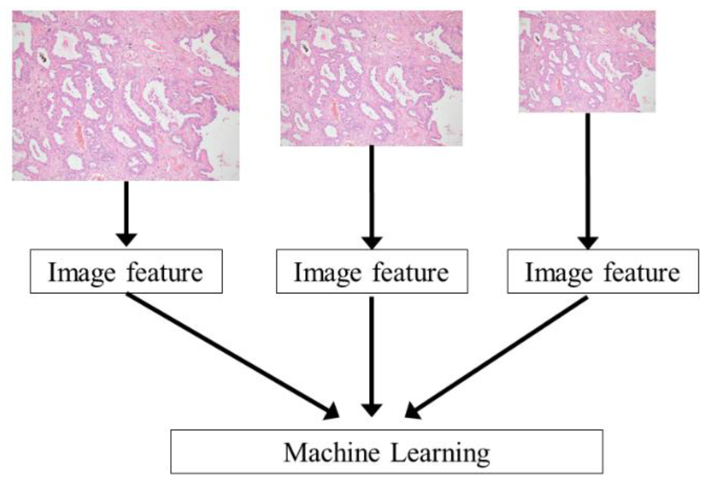 Cancers 13 01192 g005