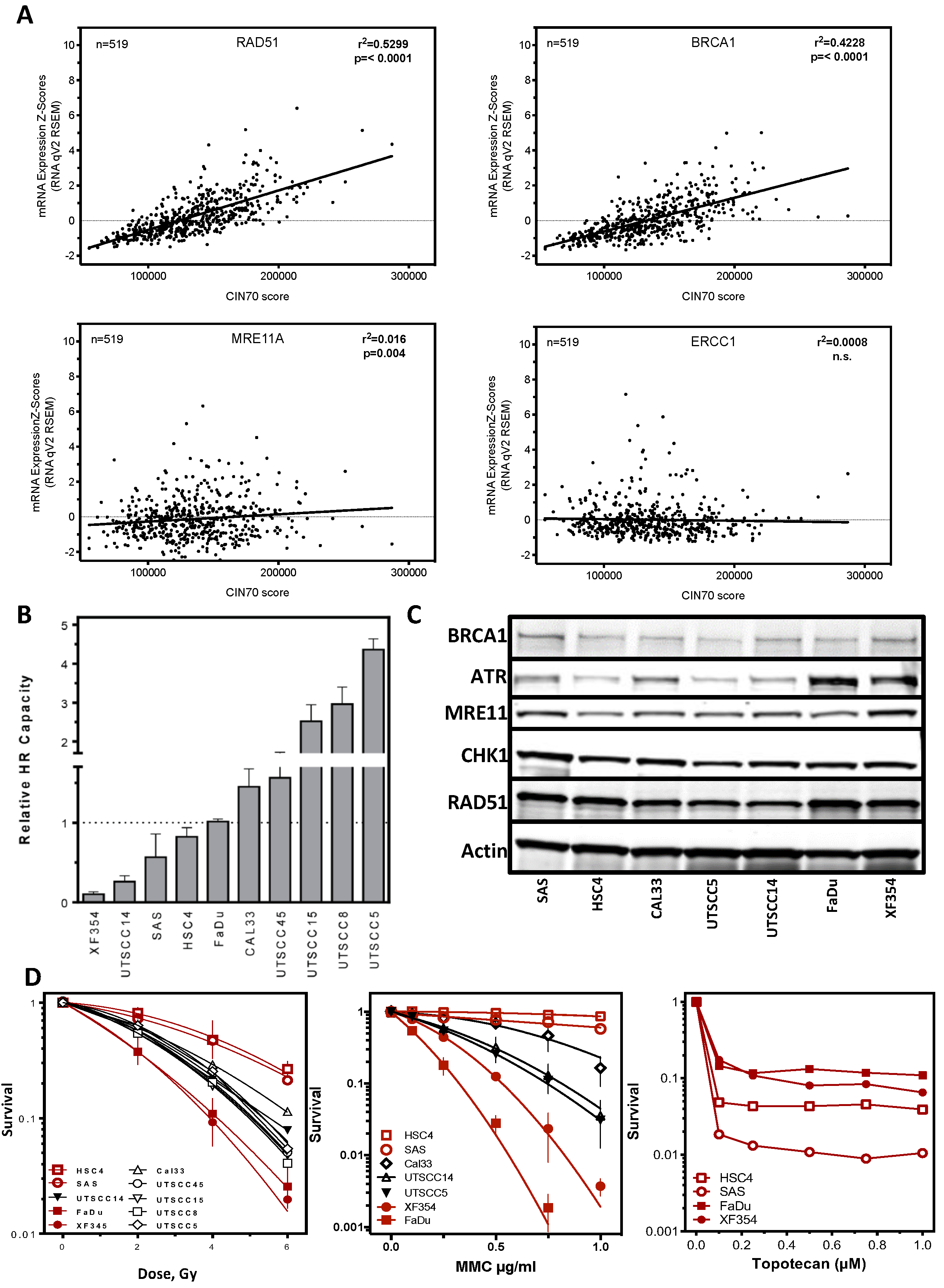 Cancers 13 01194 g002 Cancers 13 01194 g002