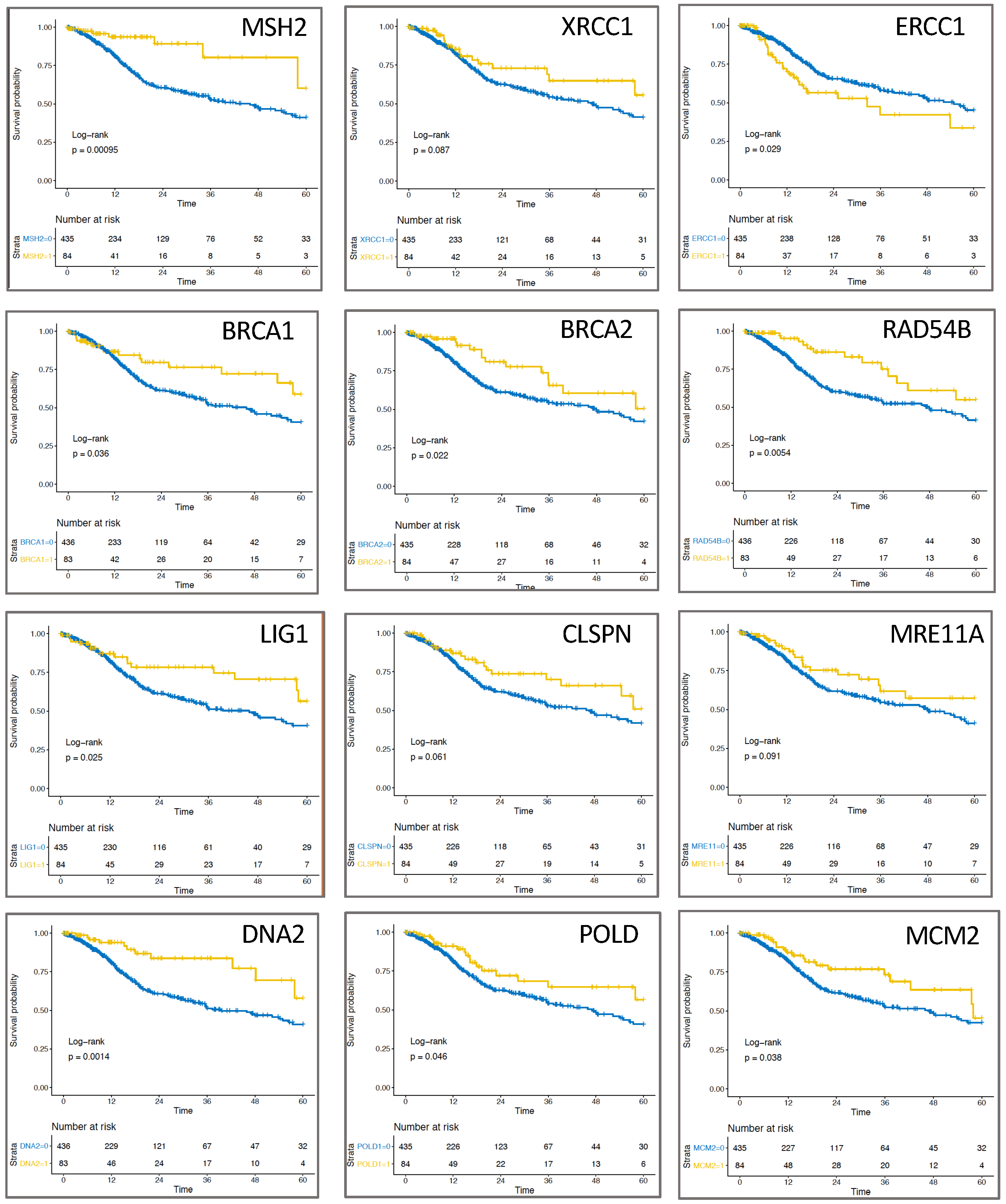 Cancers 13 01194 g003 Cancers 13 01194 g003