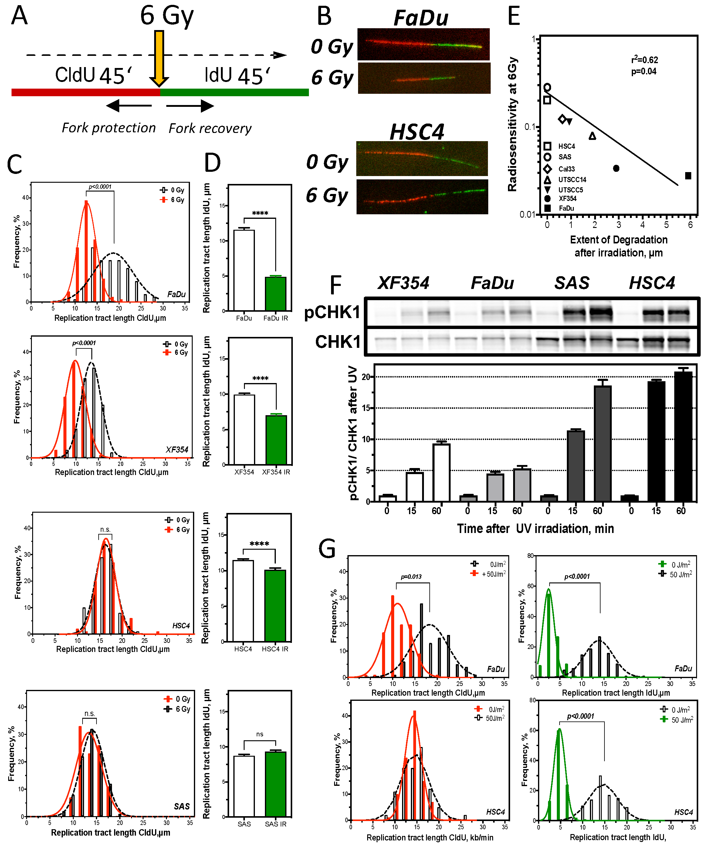 Cancers 13 01194 g004 Cancers 13 01194 g004