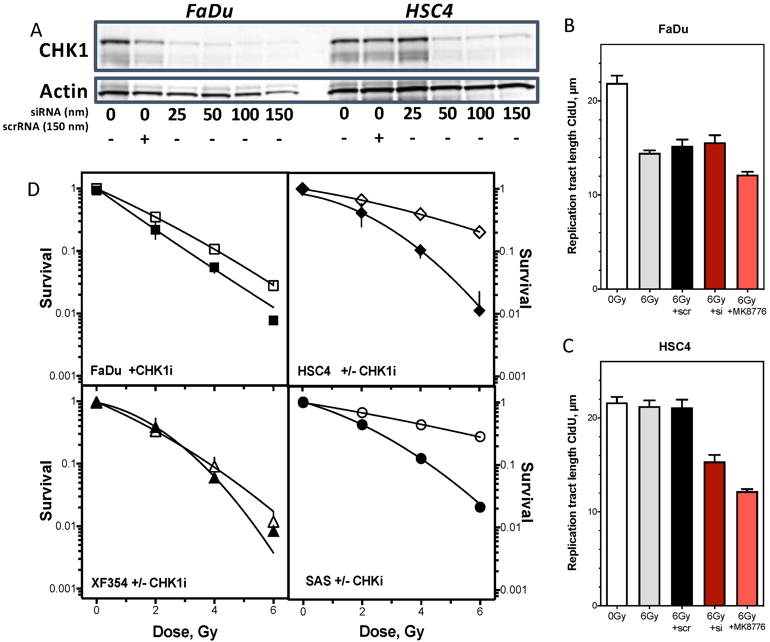Cancers 13 01194 g005 Cancers 13 01194 g005