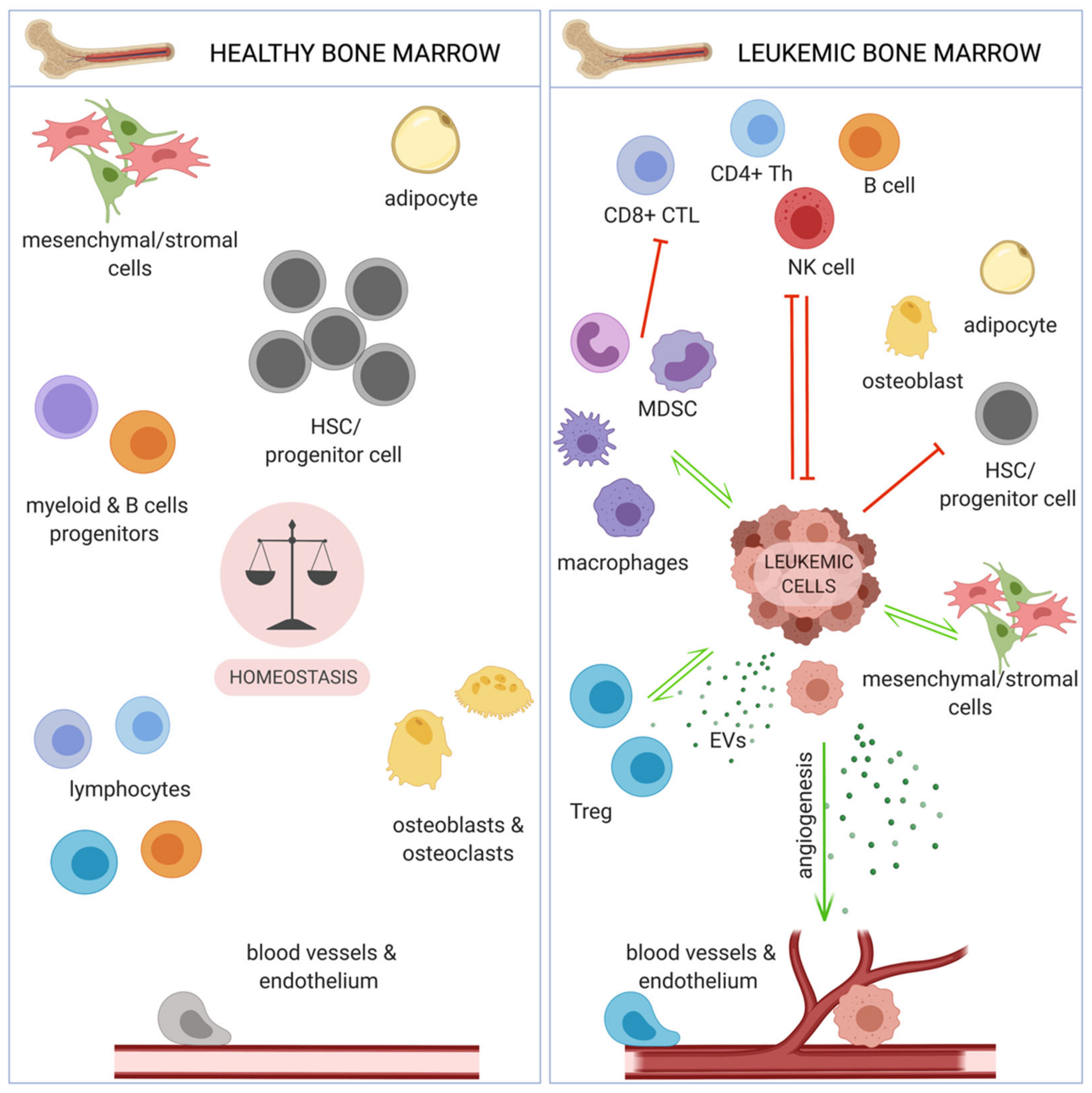 Cancers 13 01203 g002