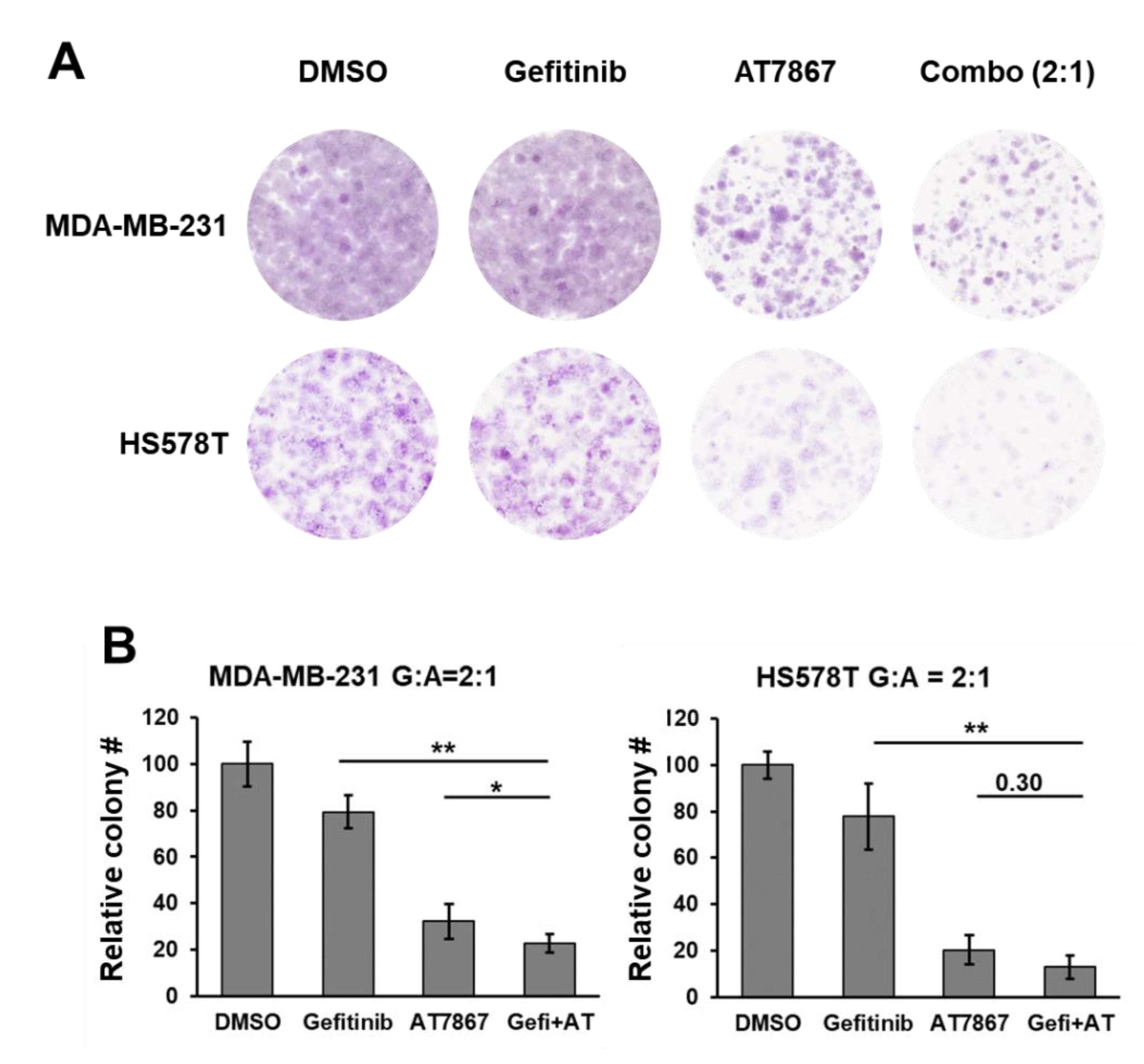 Cancers 13 01205 g003 Cancers 13 01205 g003
