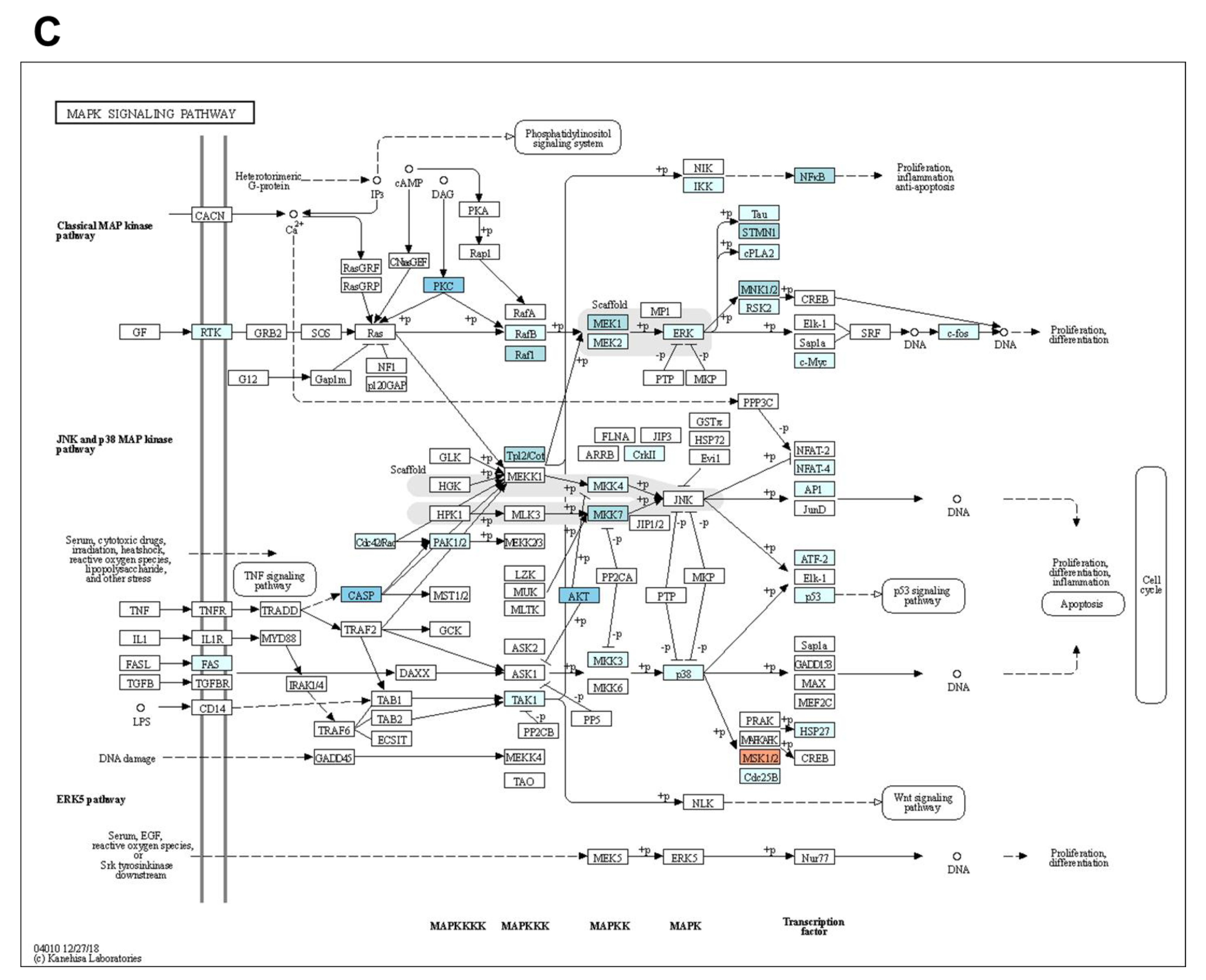 Cancers 13 01205 g005b Cancers 13 01205 g005b