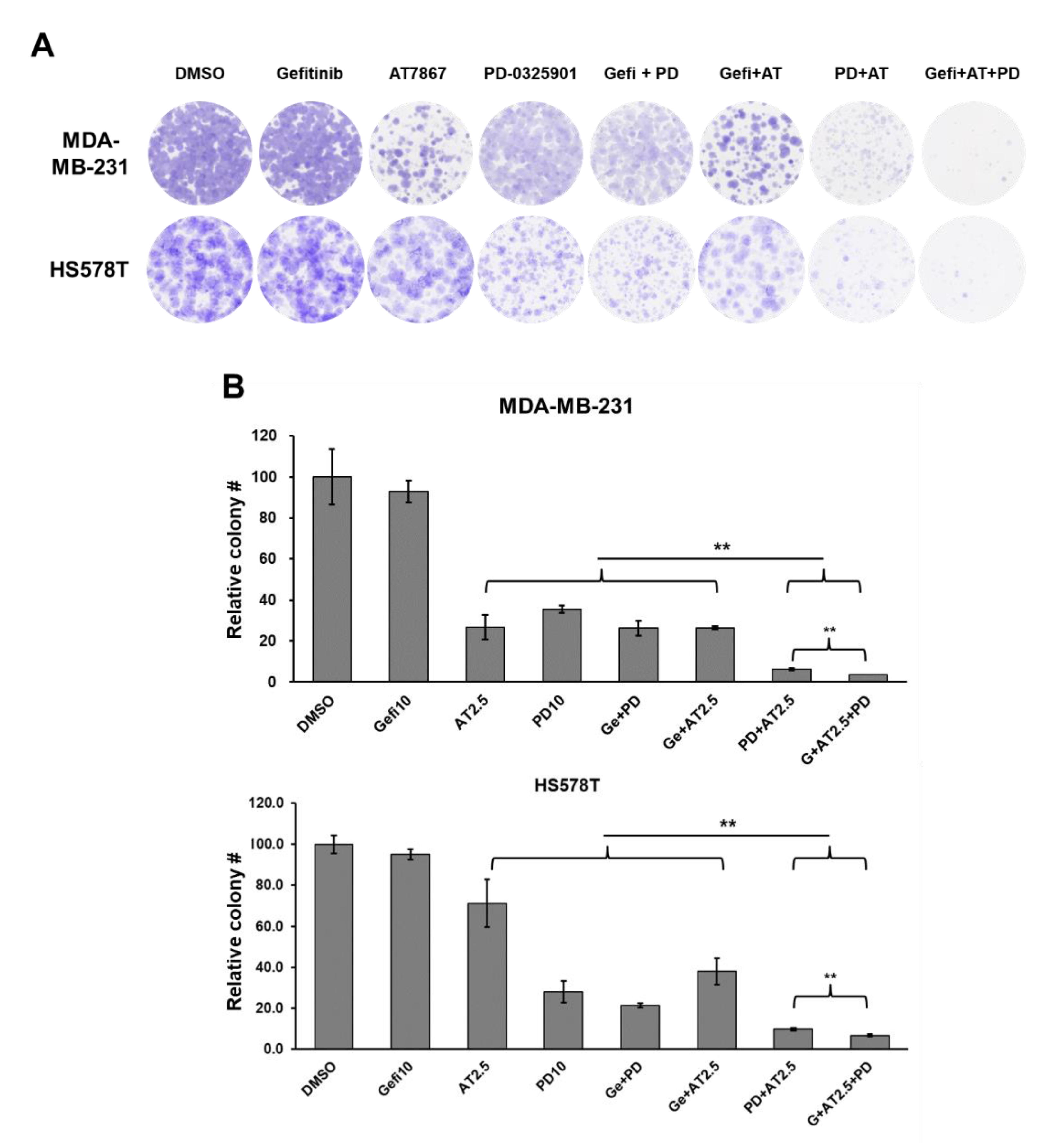 Cancers 13 01205 g008 Cancers 13 01205 g008