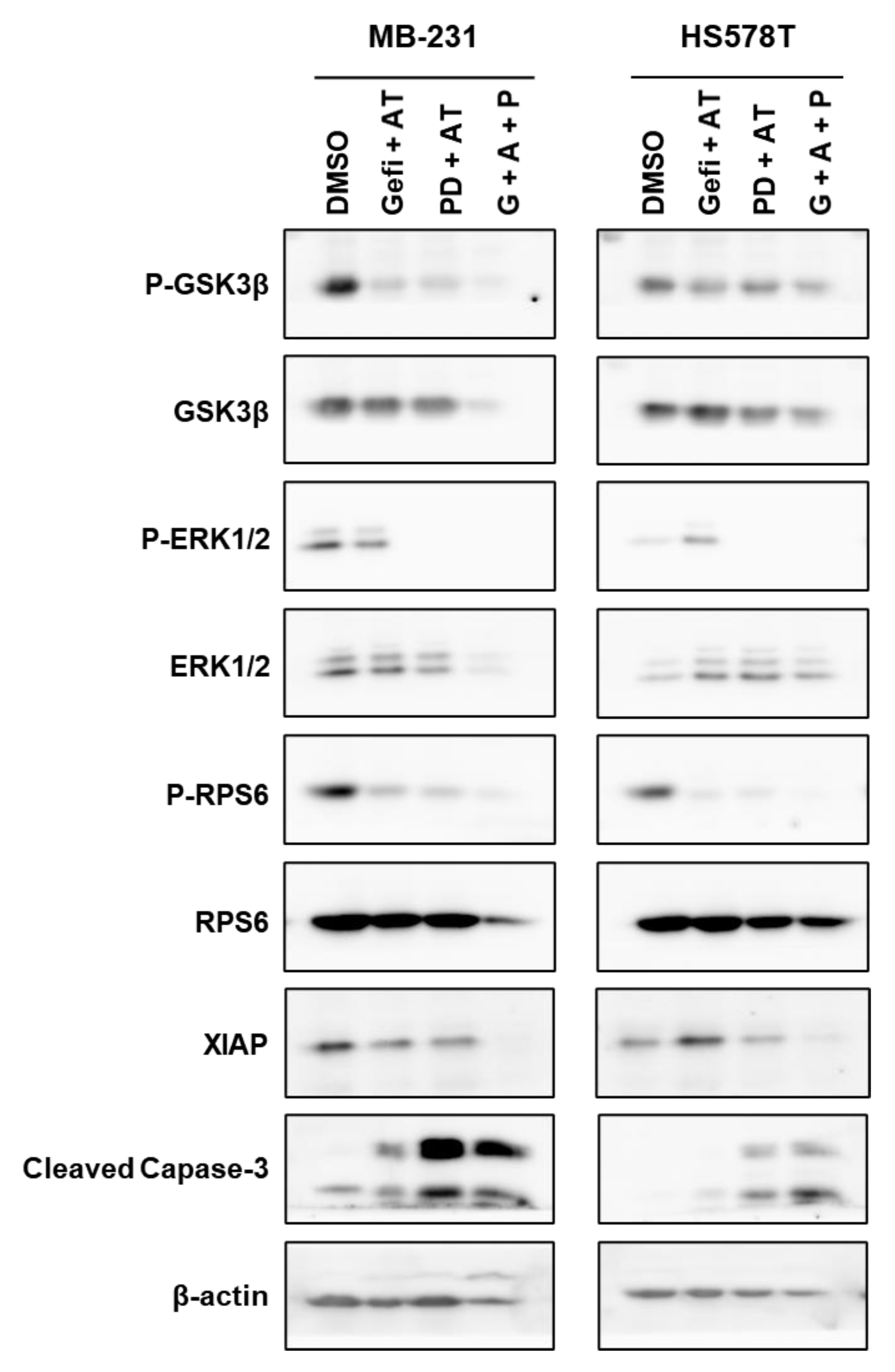 Cancers 13 01205 g009 Cancers 13 01205 g009