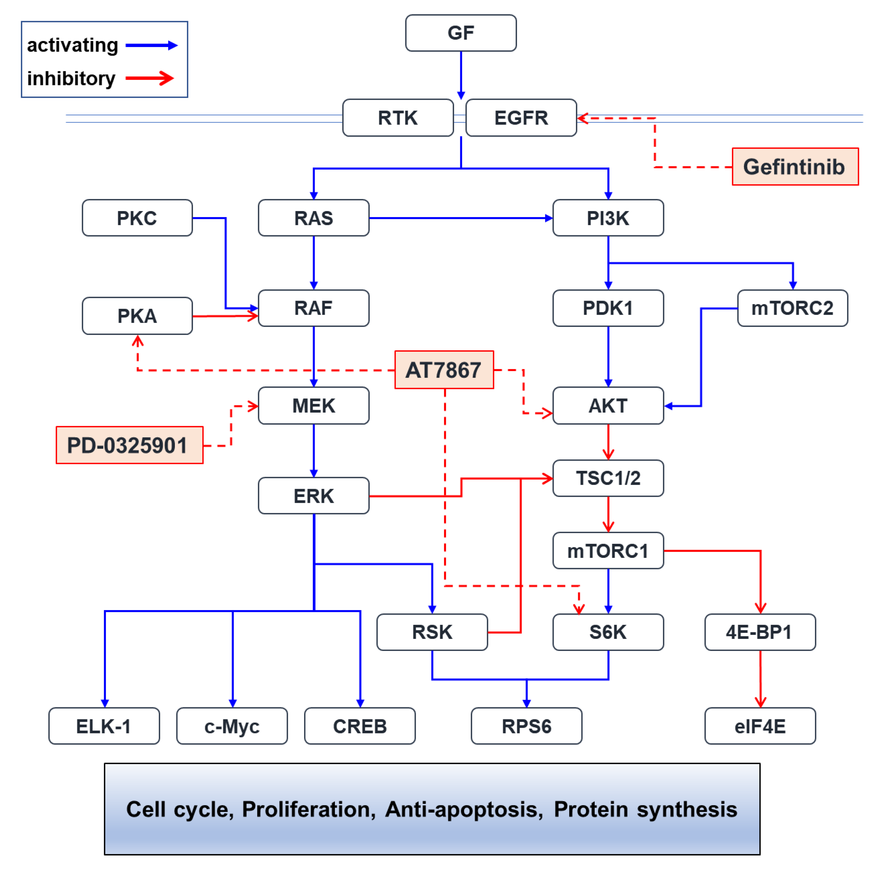 Cancers 13 01205 g010 Cancers 13 01205 g010