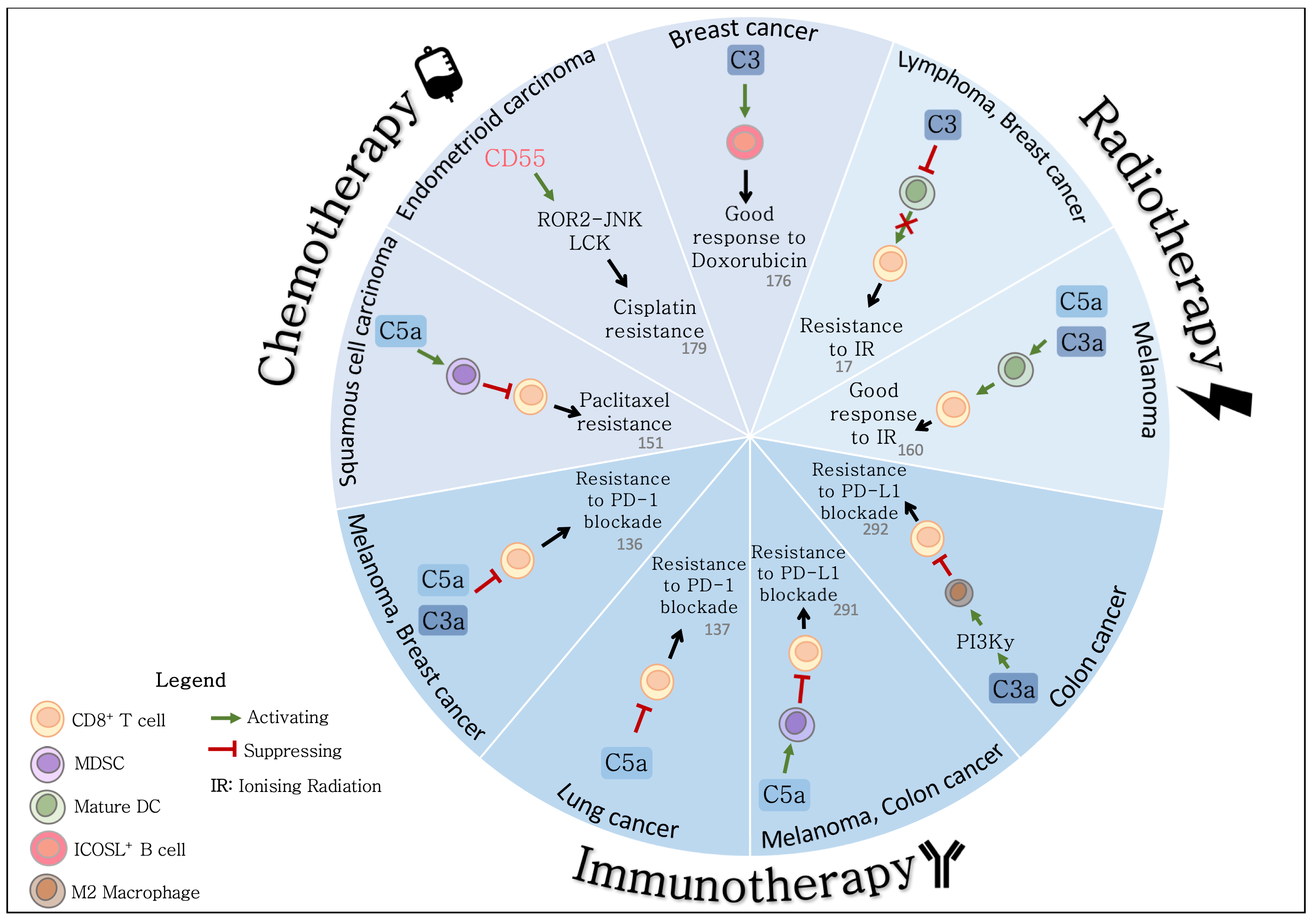 Cancers 13 01209 g002 Cancers 13 01209 g002