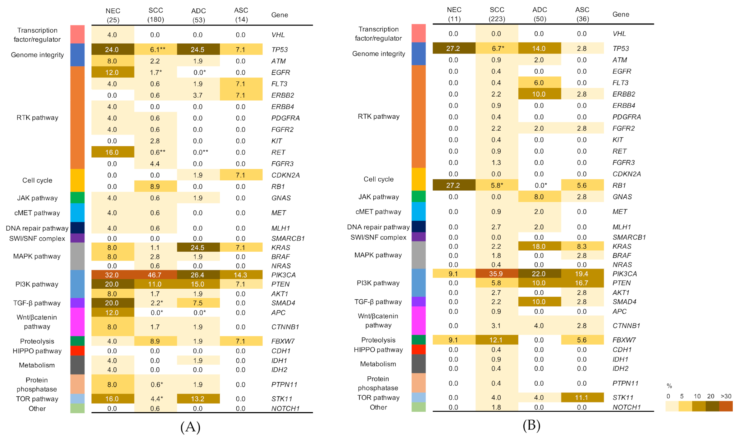 Cancers 13 01215 g002