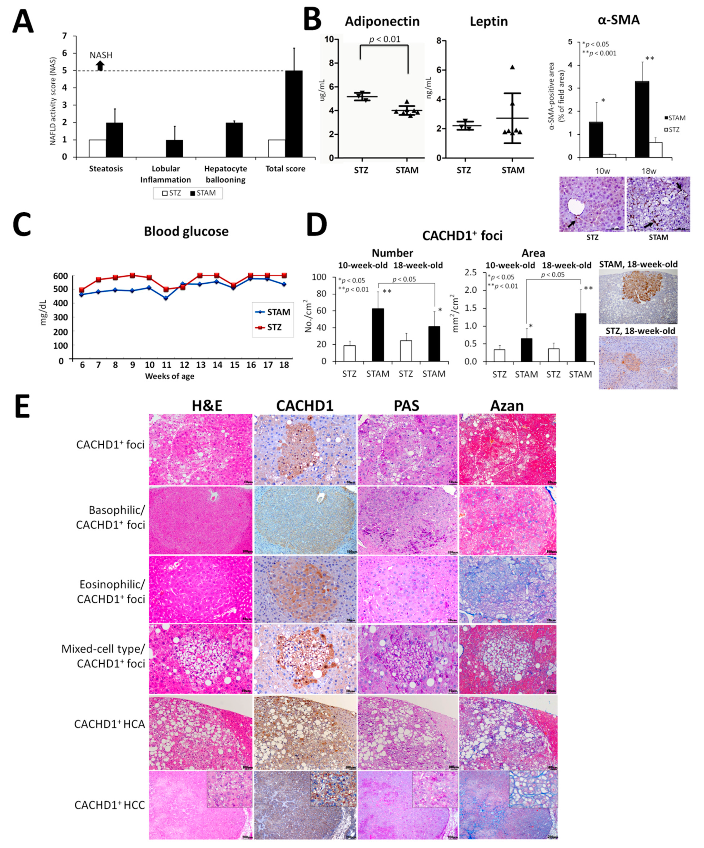 Cancers 13 01216 g001