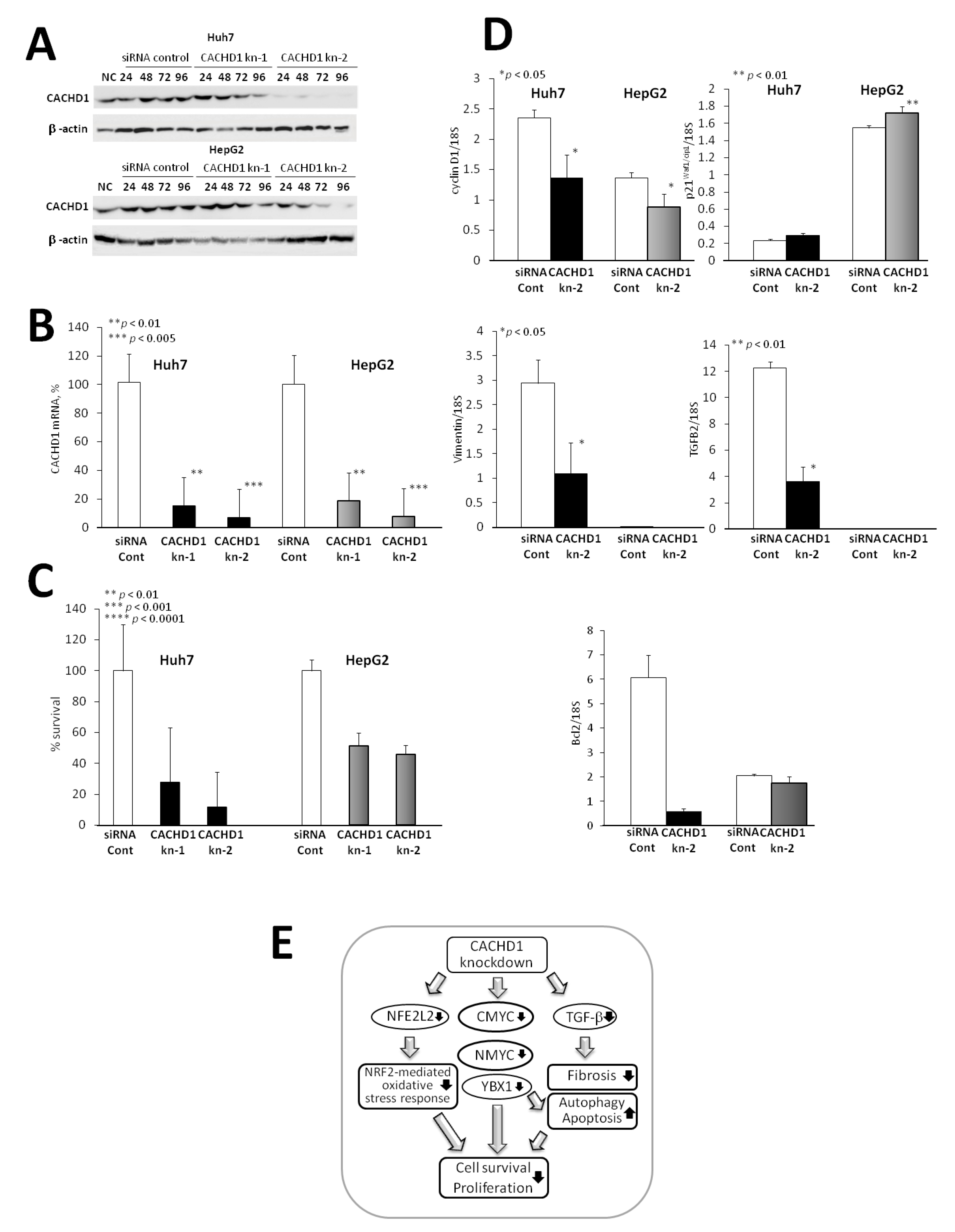 Cancers 13 01216 g003