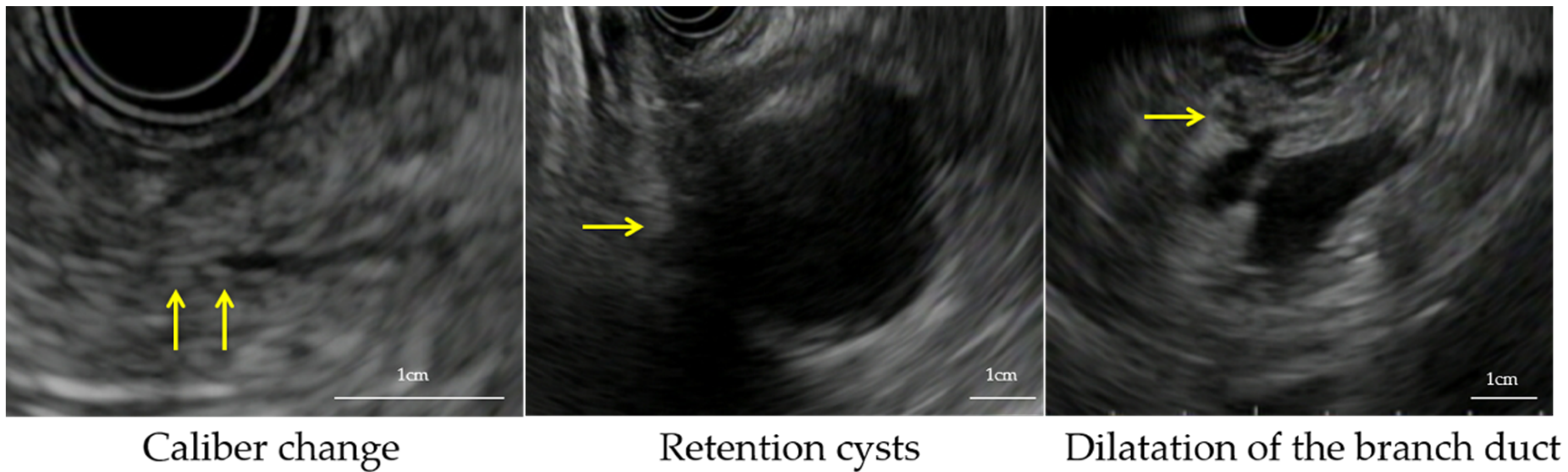 Cancers 13 01217 g001