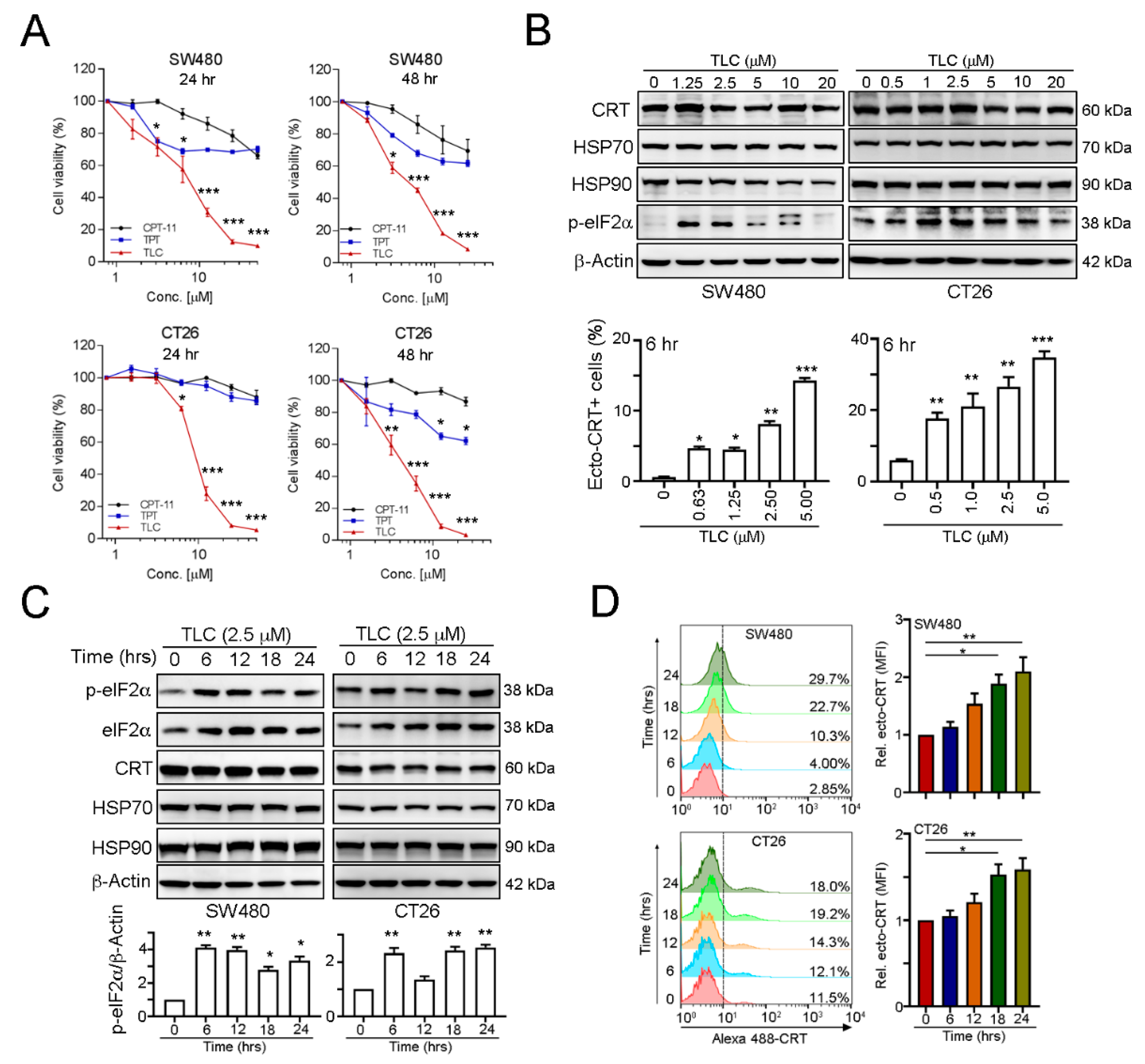 Cancers 13 01218 g001