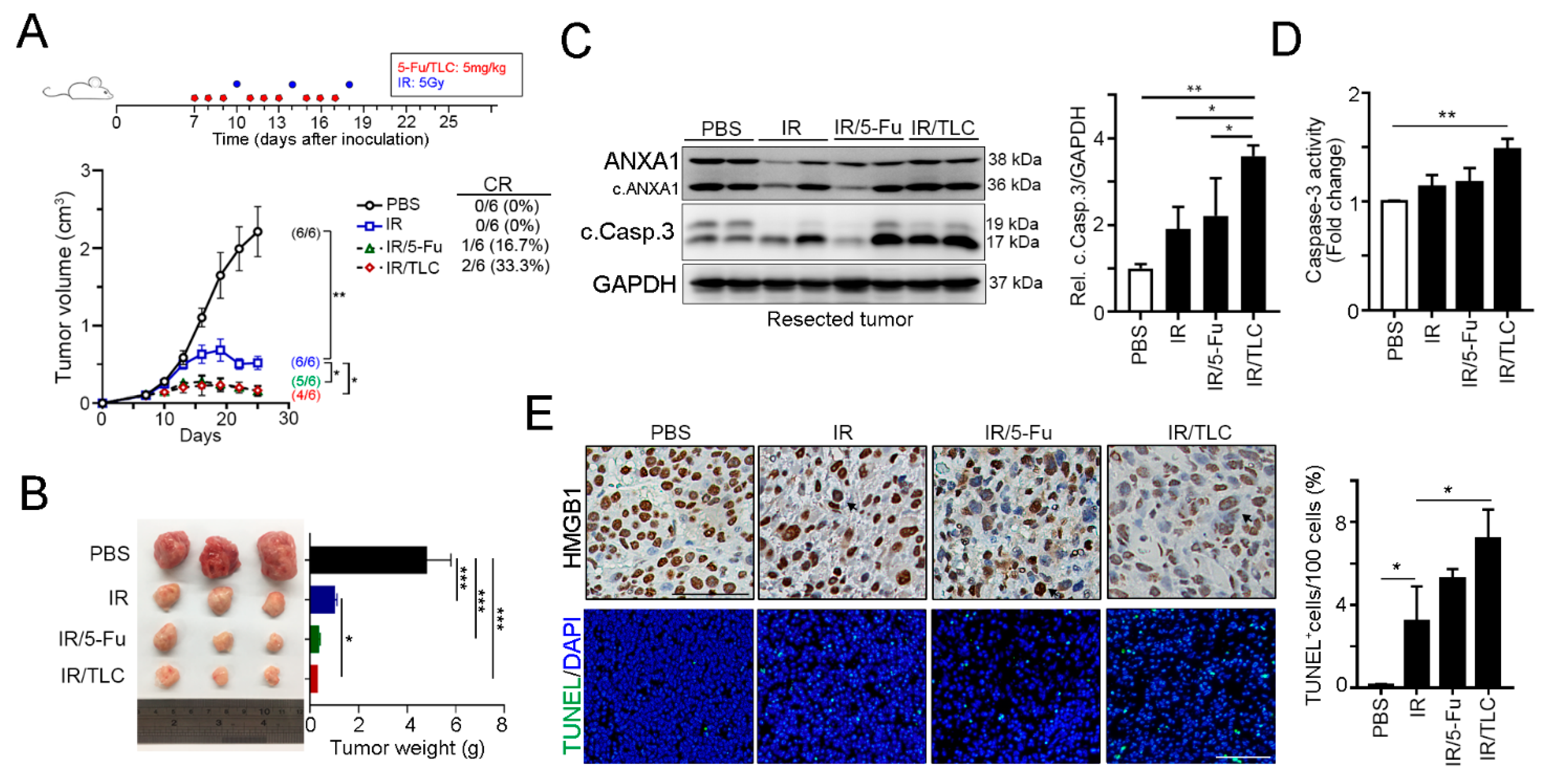 Cancers 13 01218 g004
