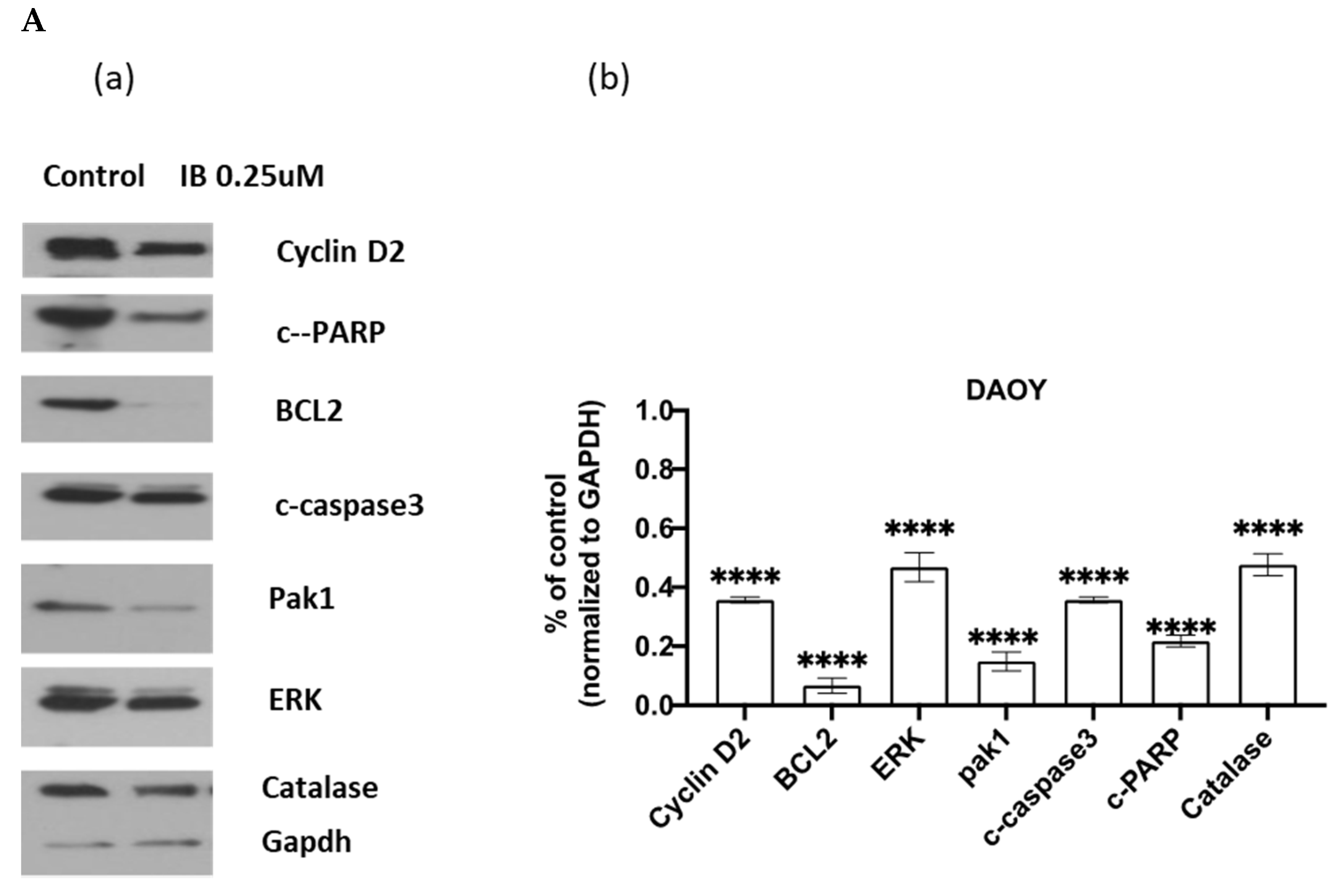 Cancers 13 01220 g002a Cancers 13 01220 g002a