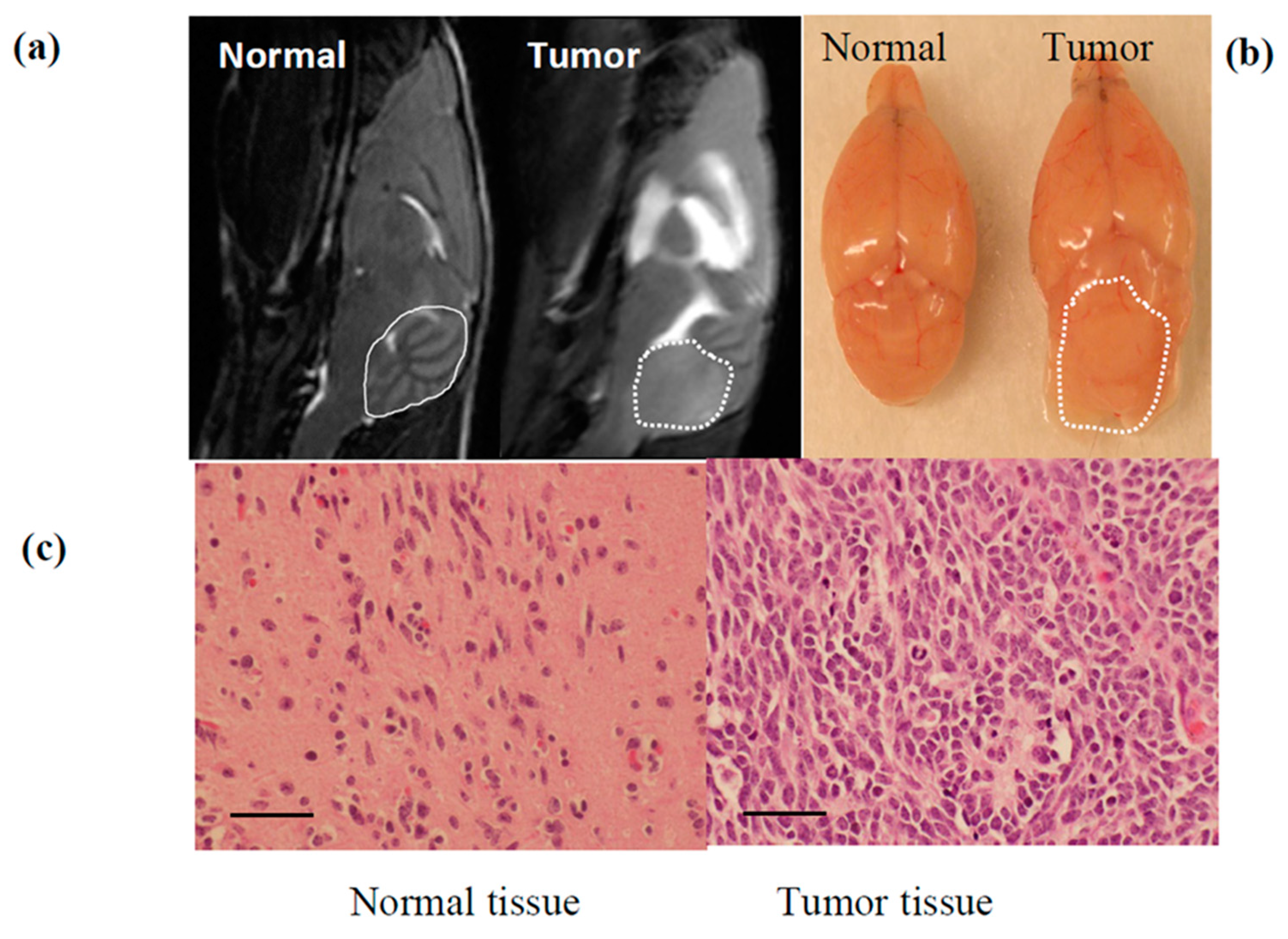 Cancers 13 01220 g003 Cancers 13 01220 g003