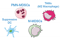 Cancers 13 01221 i001 Cancers 13 01221 i001