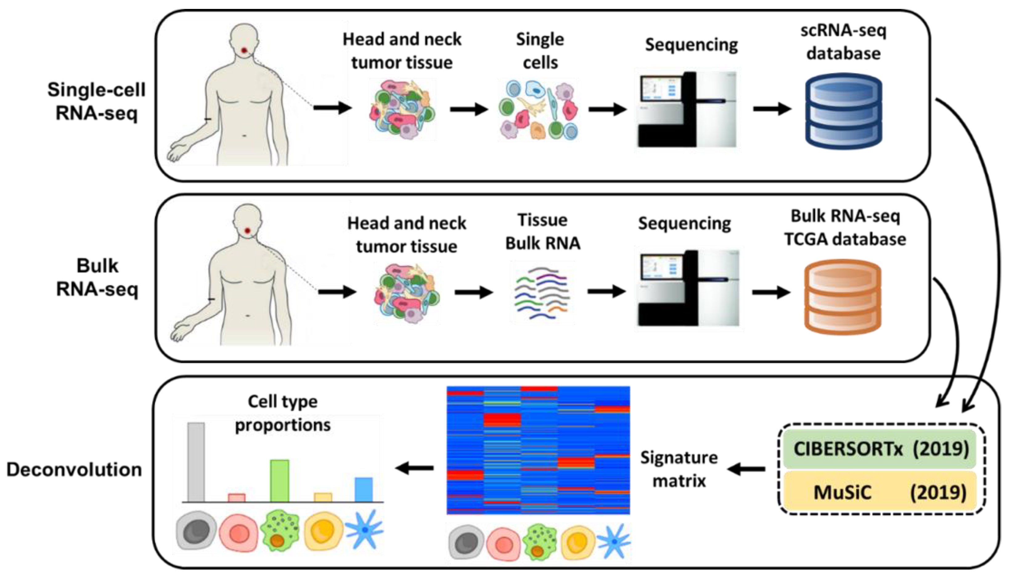 Cancers 13 01230 g001
