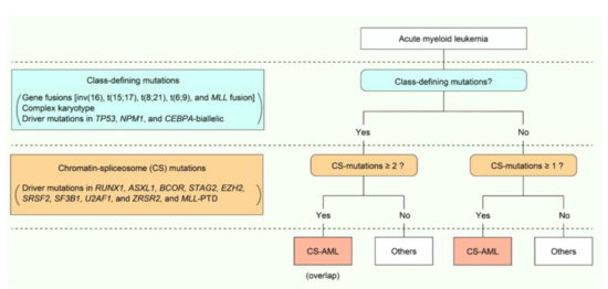 Cancers Free Full Text Chromatin Spliceosome Mutations In Acute Myeloid Leukemia Html