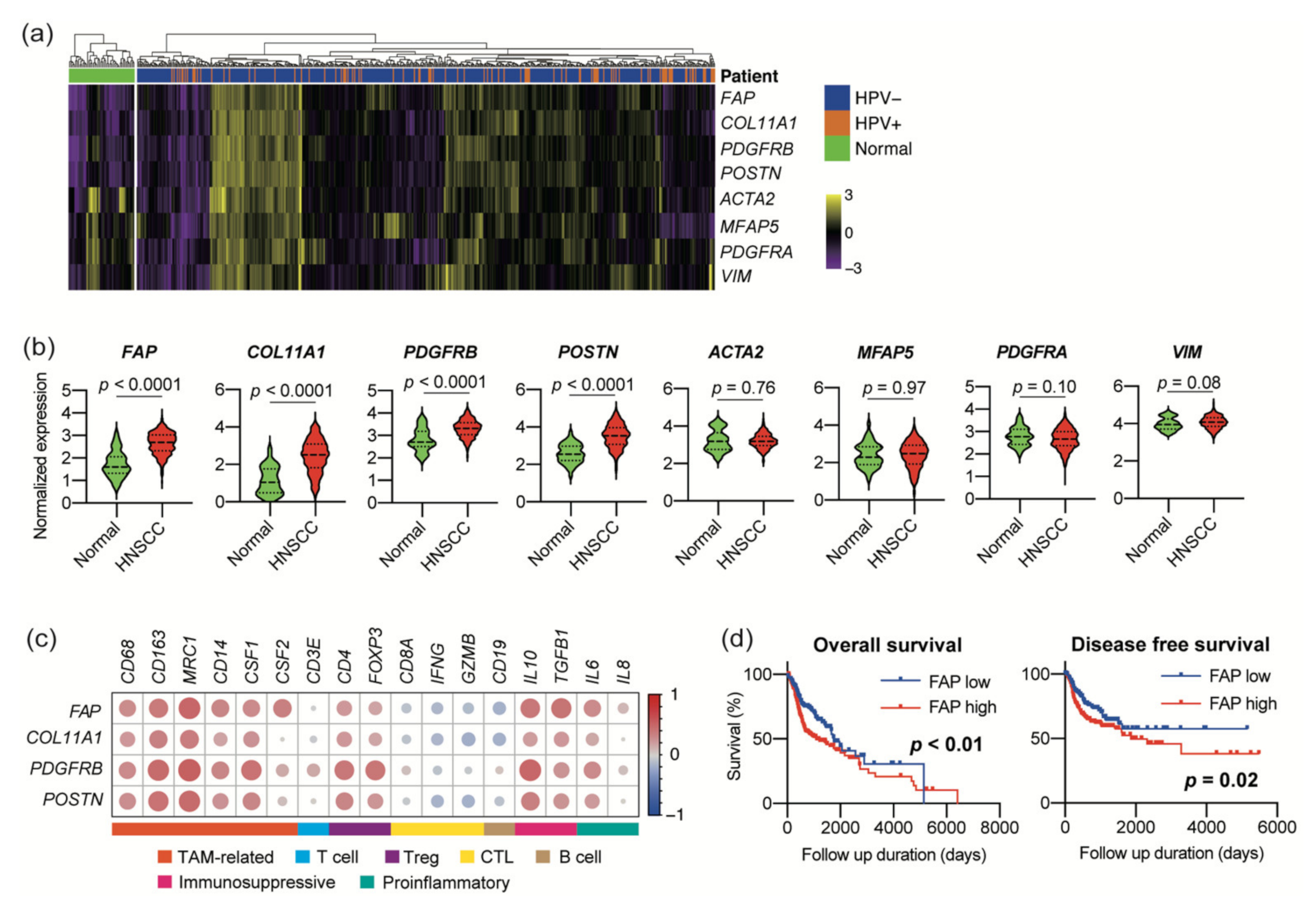 Cancers 13 01233 g001 Cancers 13 01233 g001