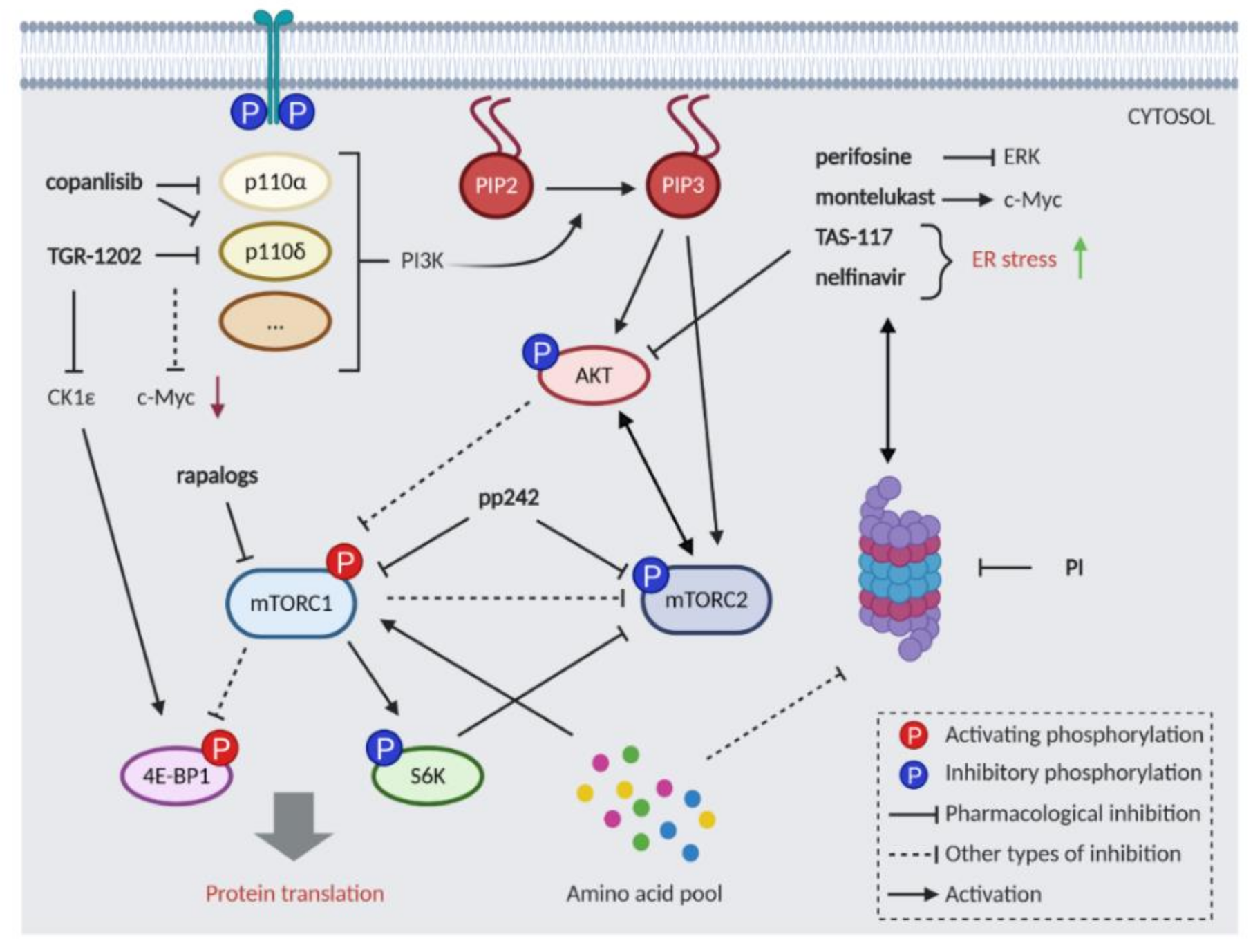 Cancers 13 01235 g002 Cancers 13 01235 g002
