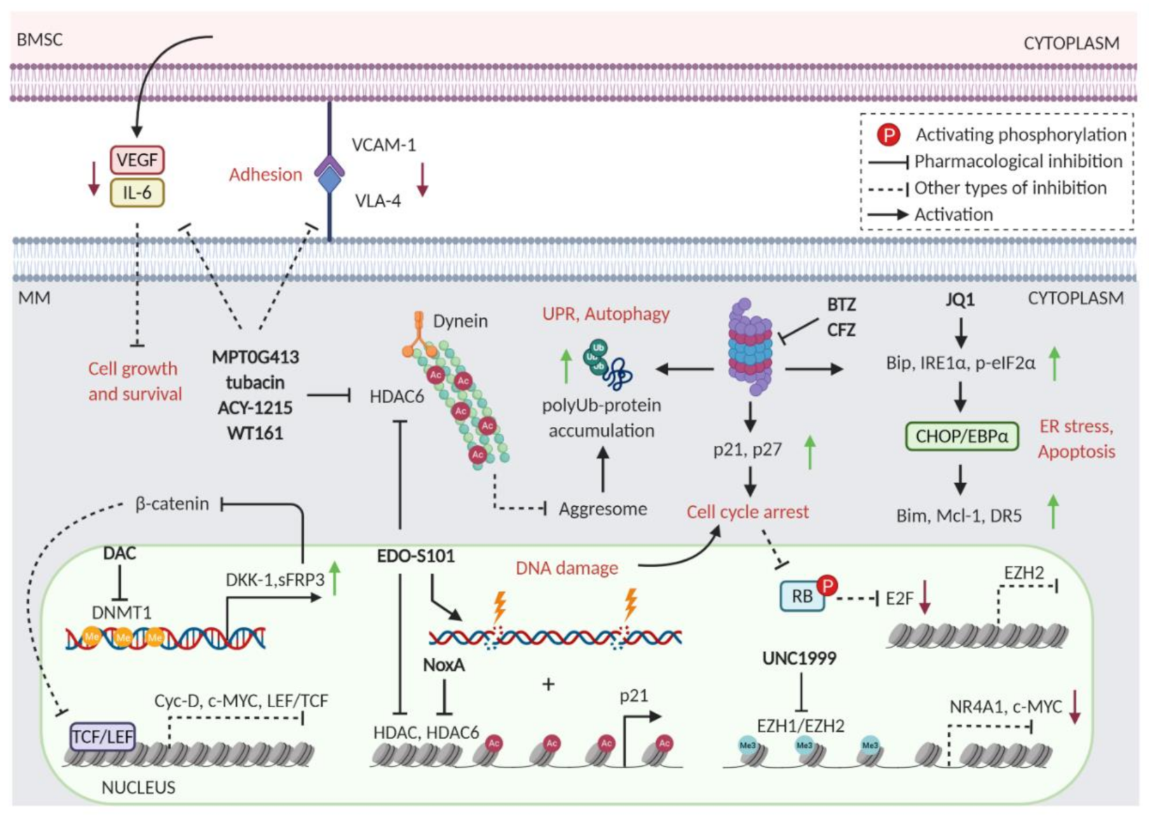 Cancers 13 01235 g005 Cancers 13 01235 g005