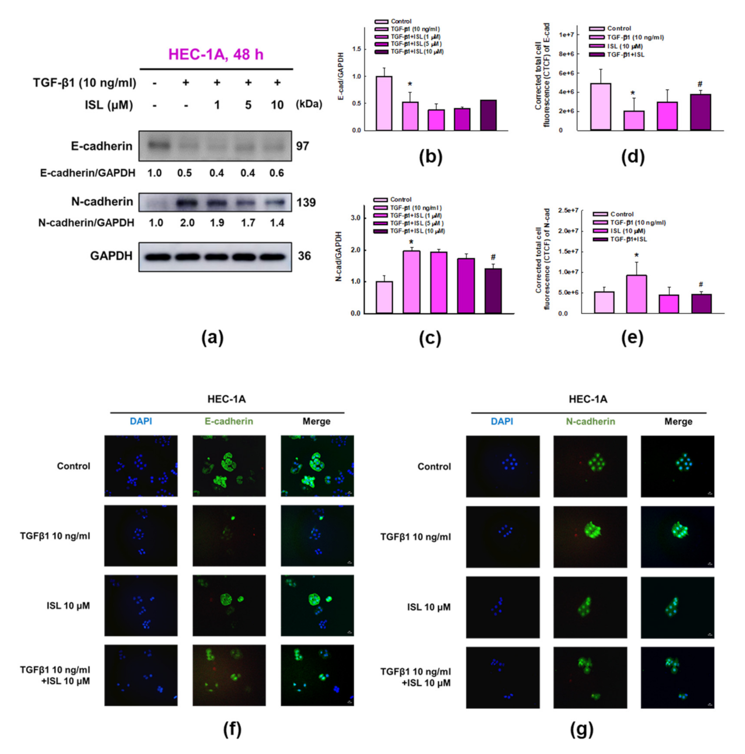 Cancers 13 01236 g003