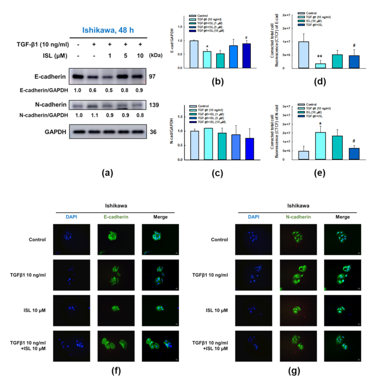 Cancers 13 01236 g004