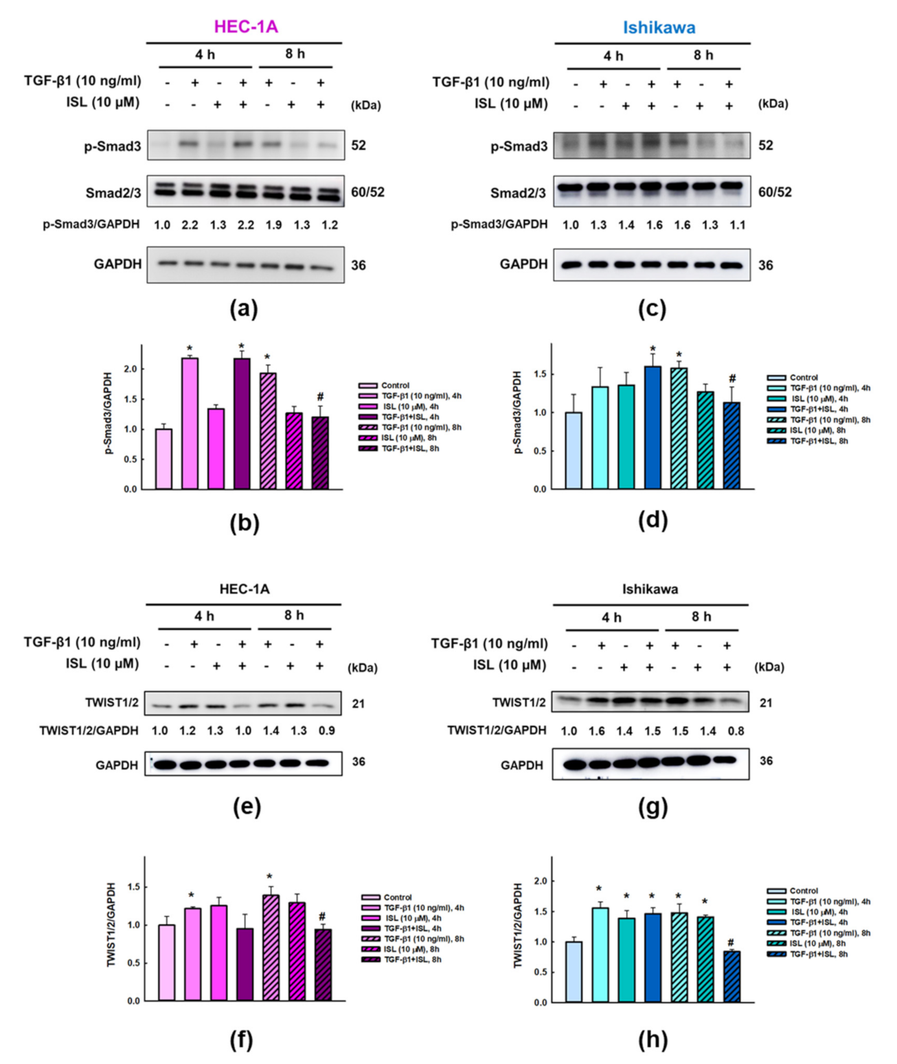 Cancers 13 01236 g006