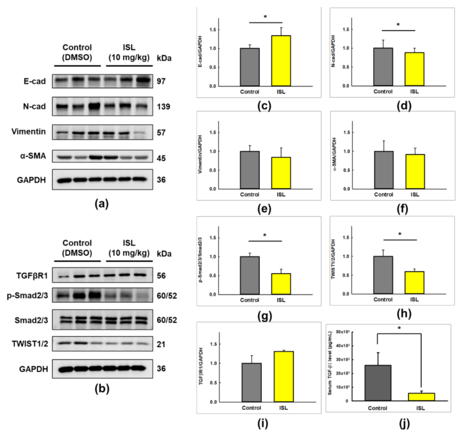 Cancers 13 01236 g008