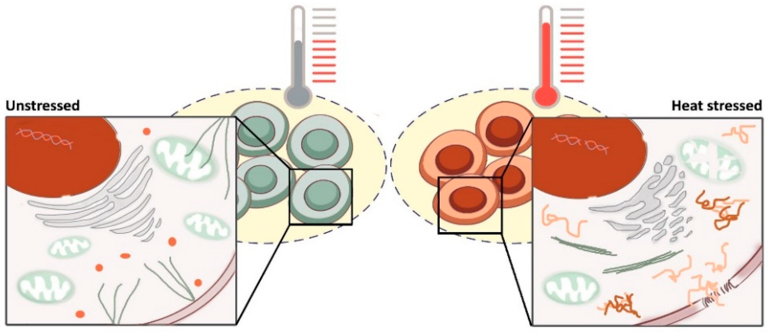 Cancers 13 01243 g001