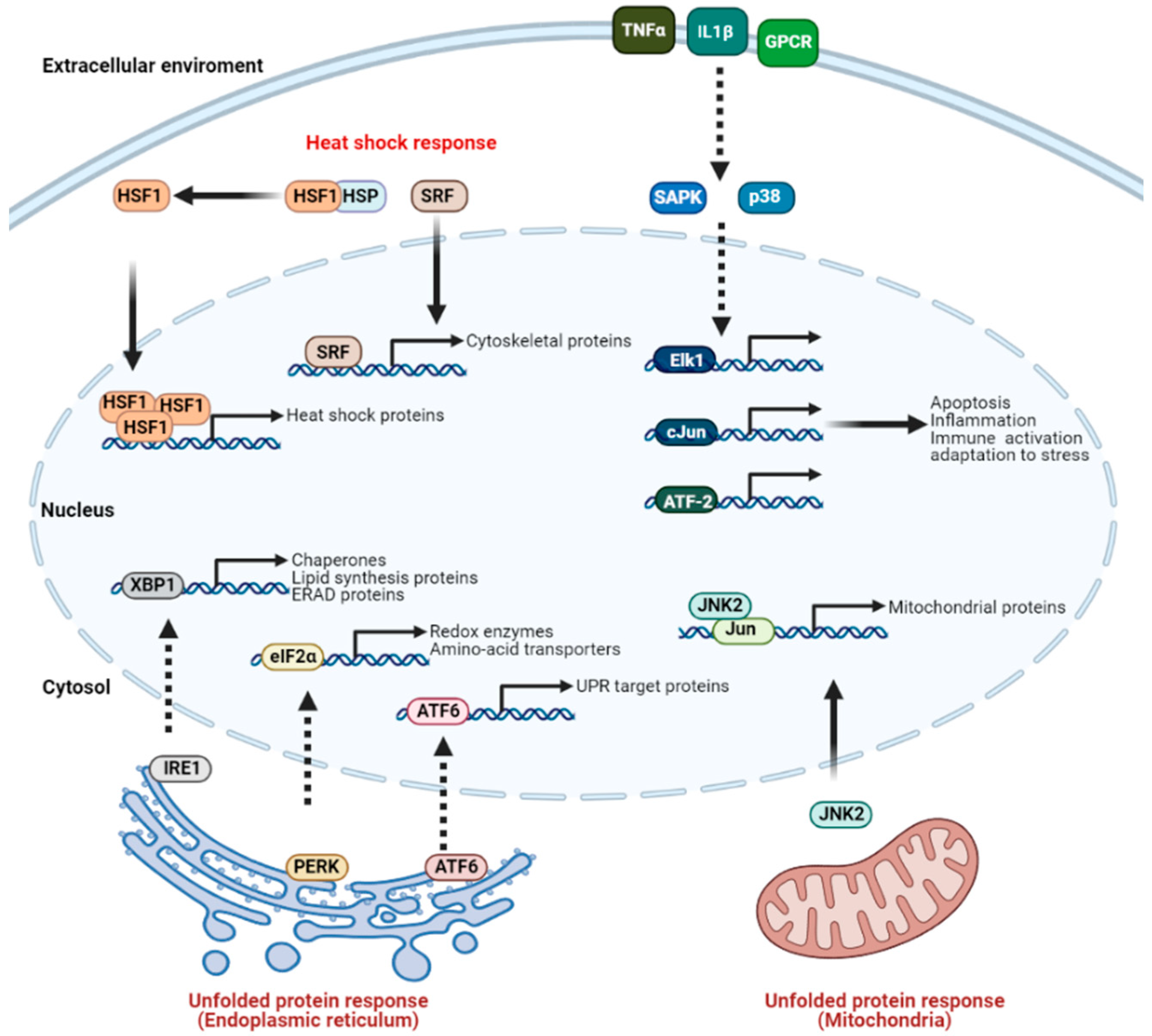 Cancers 13 01243 g002