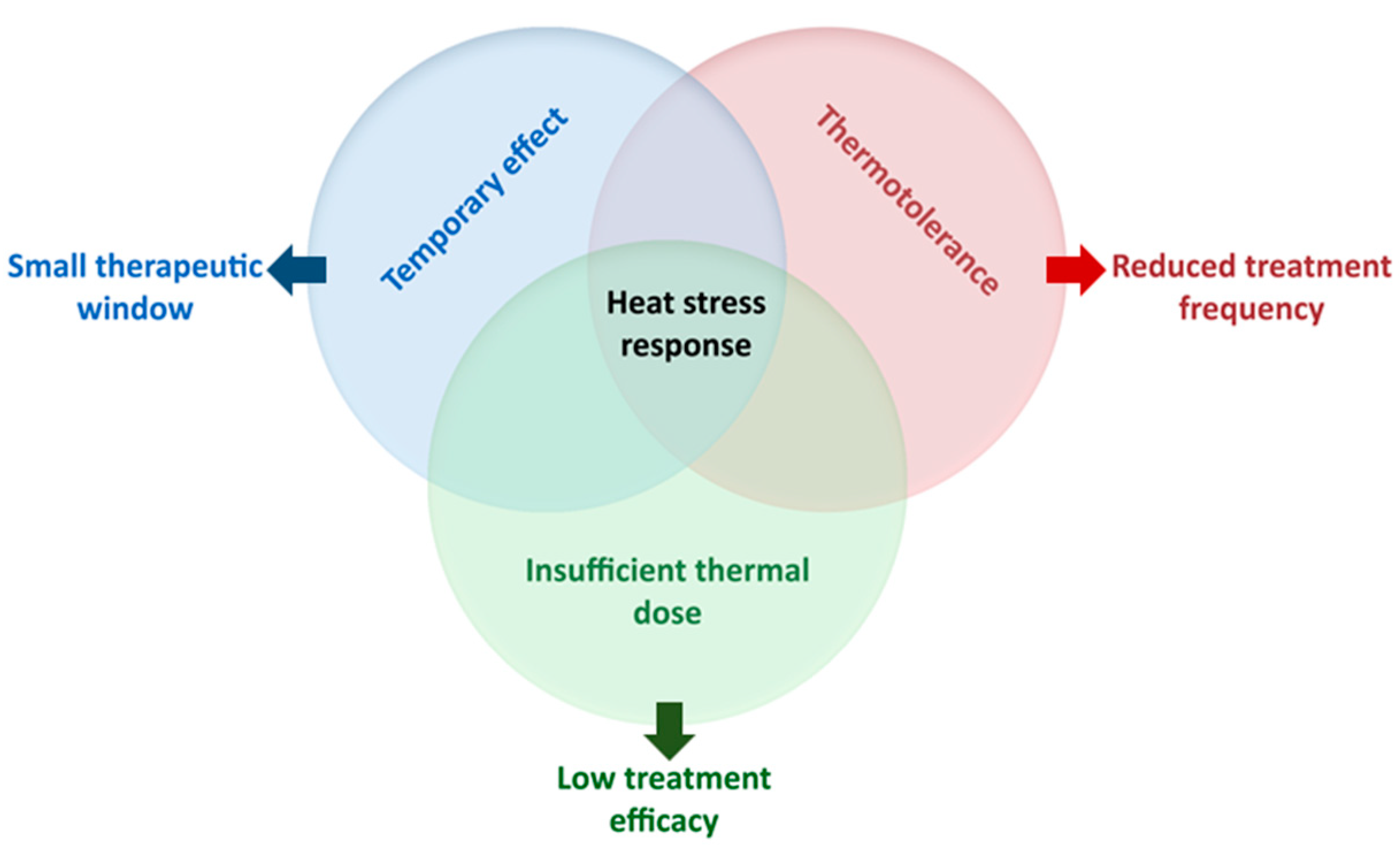 Cancers 13 01243 g003