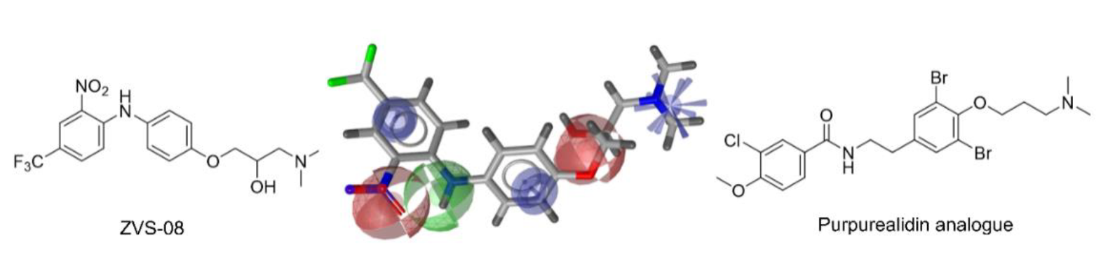 Cancers 13 01244 g008 Cancers 13 01244 g008