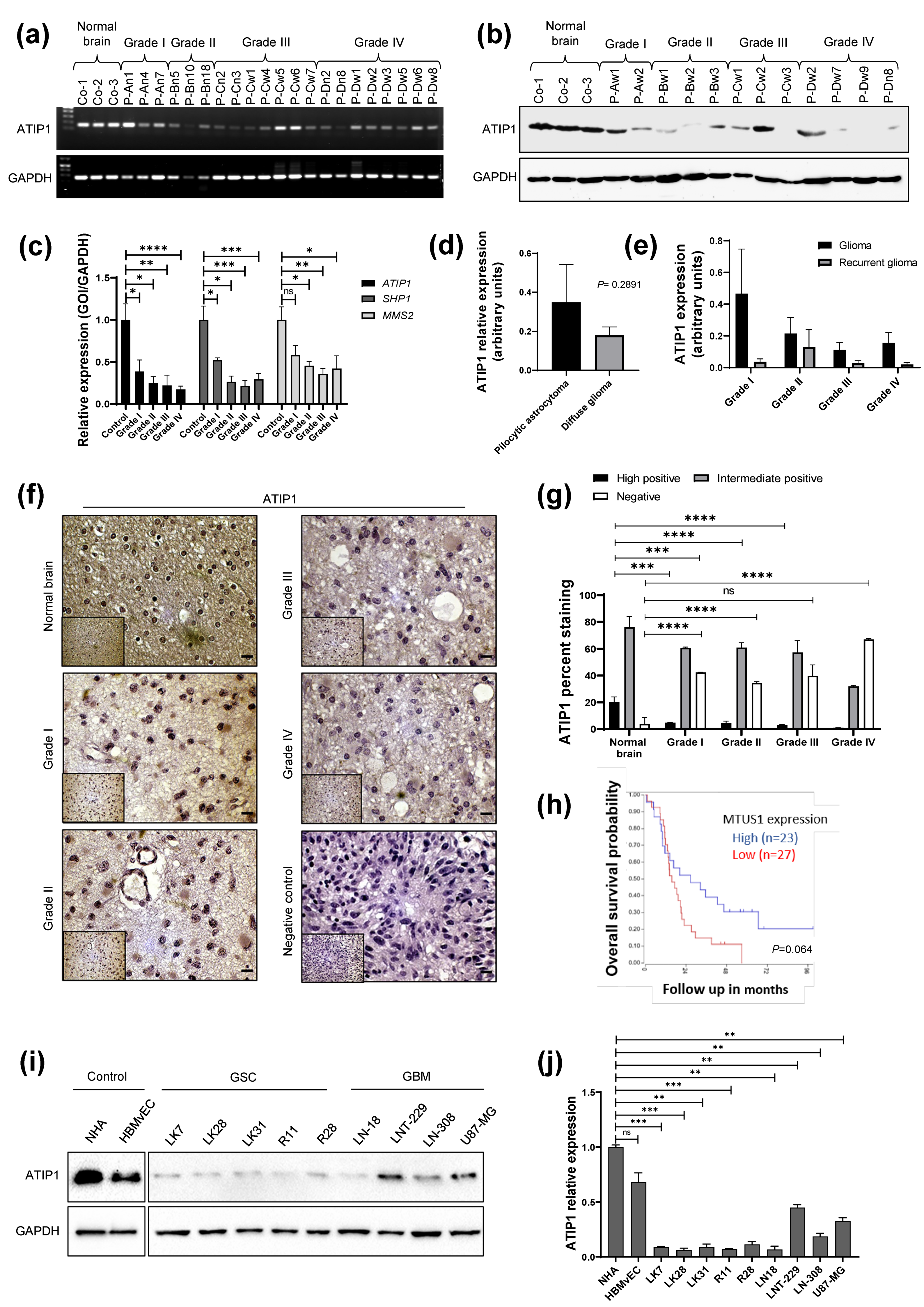 Cancers 13 01245 g001 Cancers 13 01245 g001