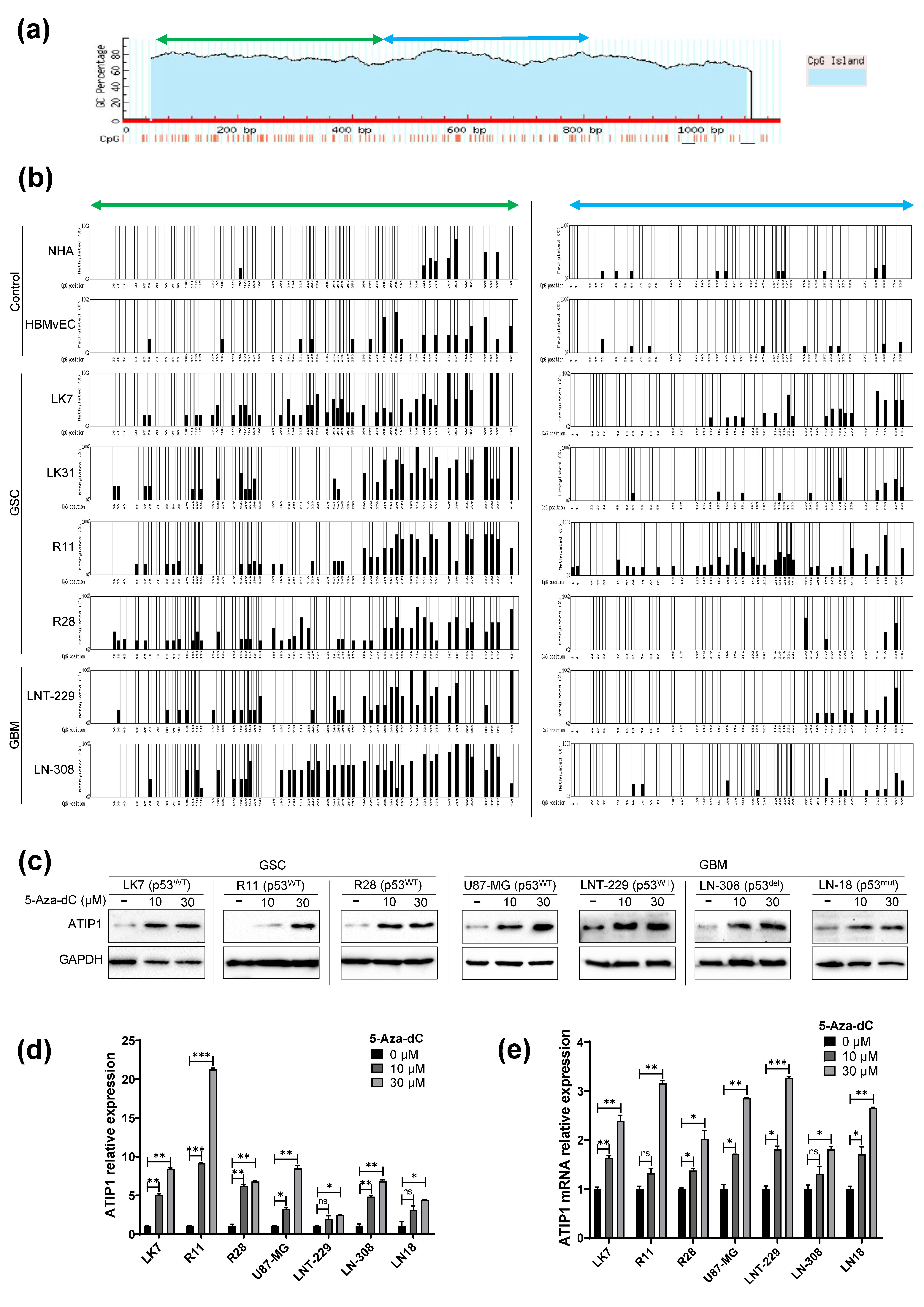 Cancers 13 01245 g002 Cancers 13 01245 g002
