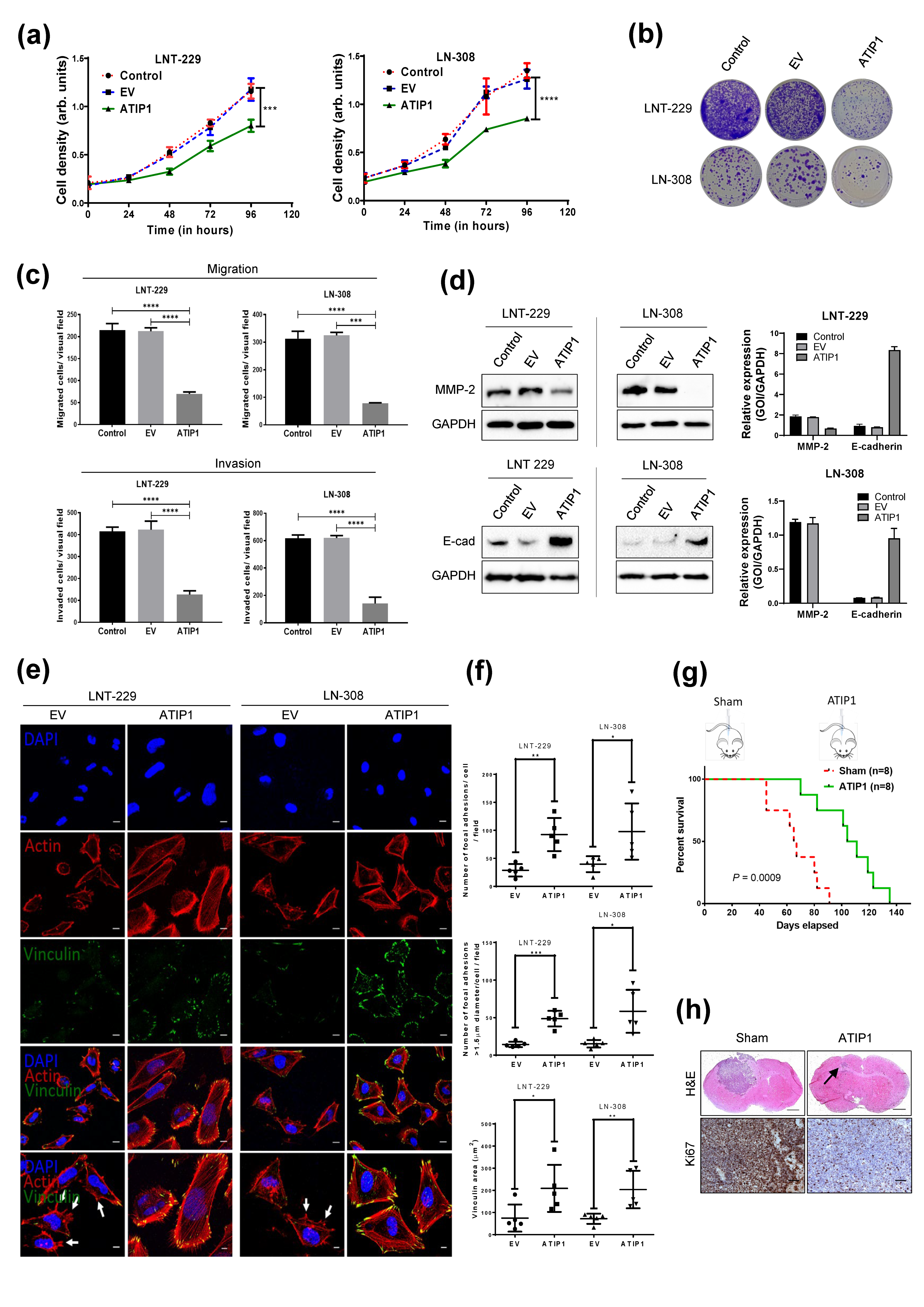 Cancers 13 01245 g003 Cancers 13 01245 g003
