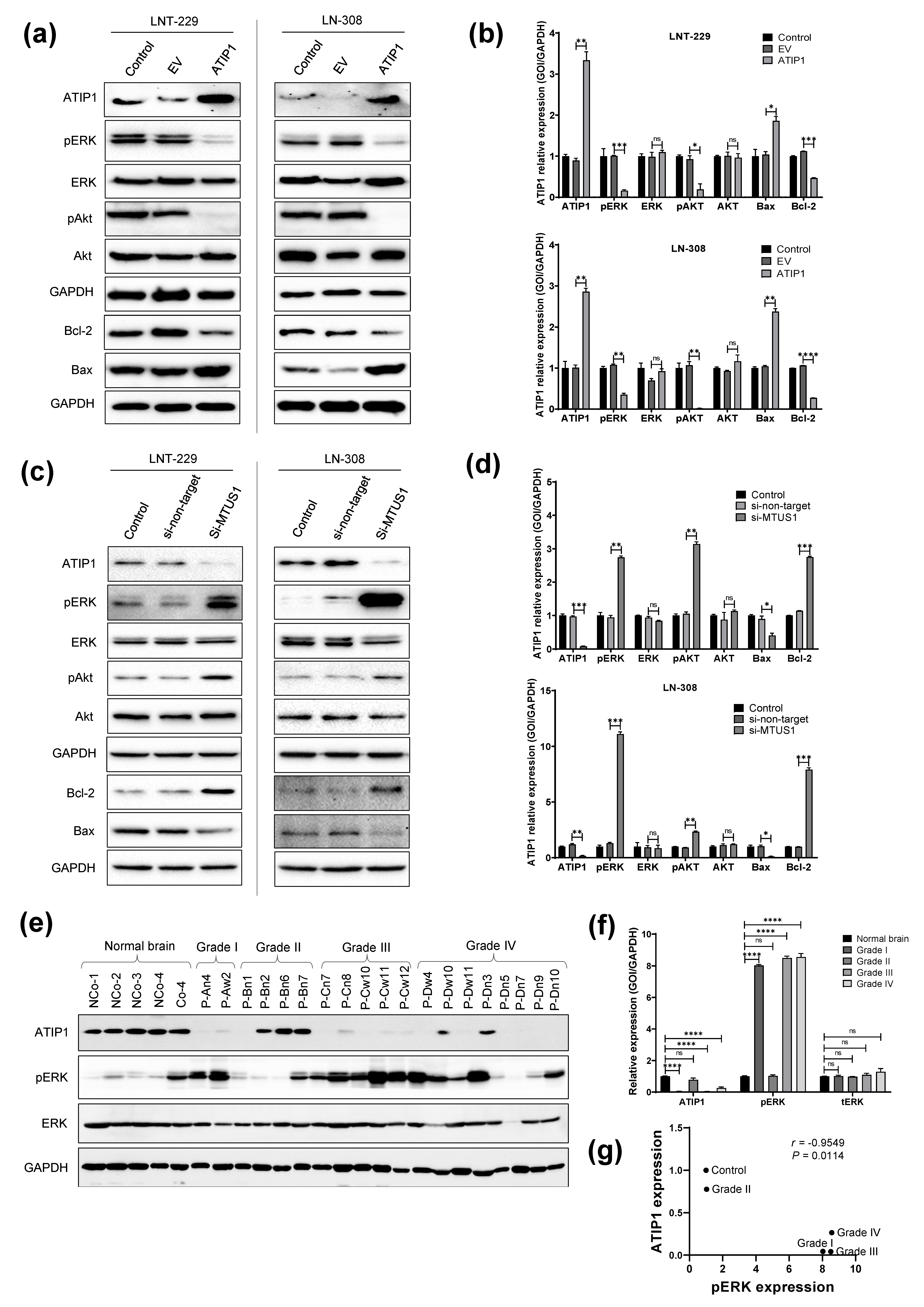 Cancers 13 01245 g004 Cancers 13 01245 g004