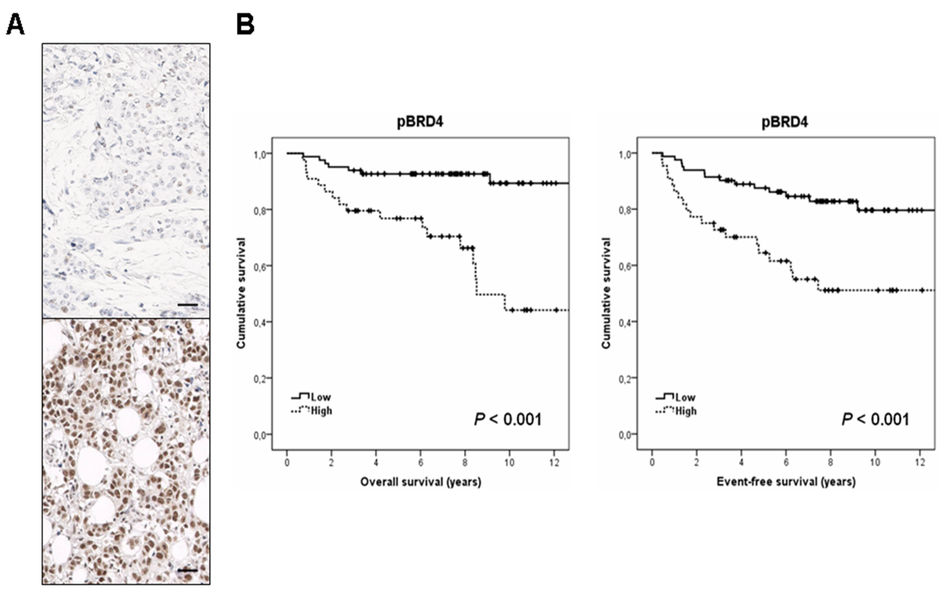 Cancers 13 01246 g001 Cancers 13 01246 g001