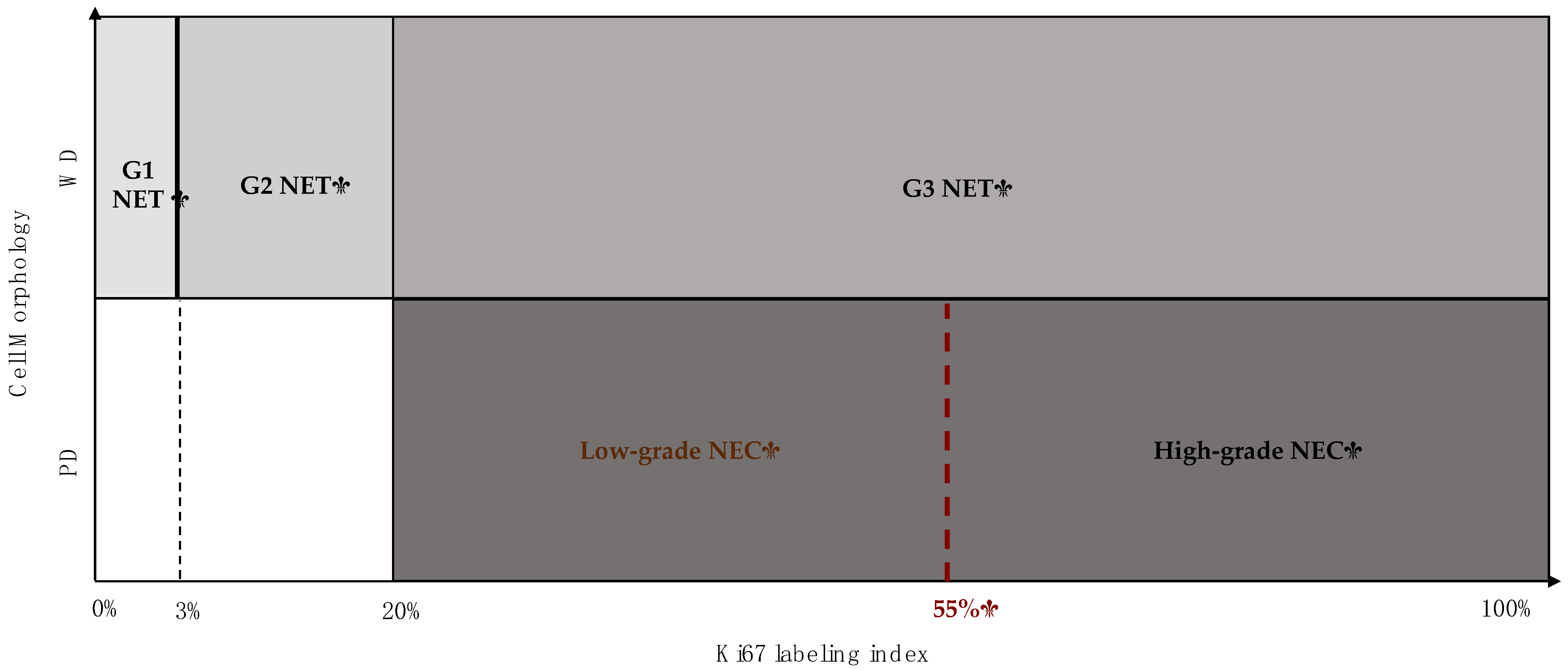 Cancers 13 01247 g001 Cancers 13 01247 g001